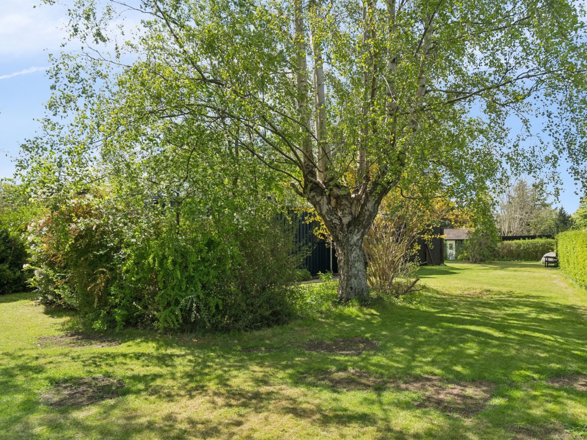 "Alika" - 700m from the sea - Buiten
