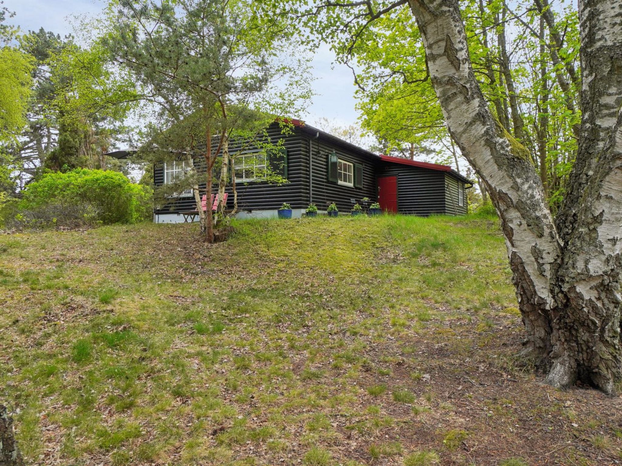 "Dalia" - 850m from the sea - Buiten