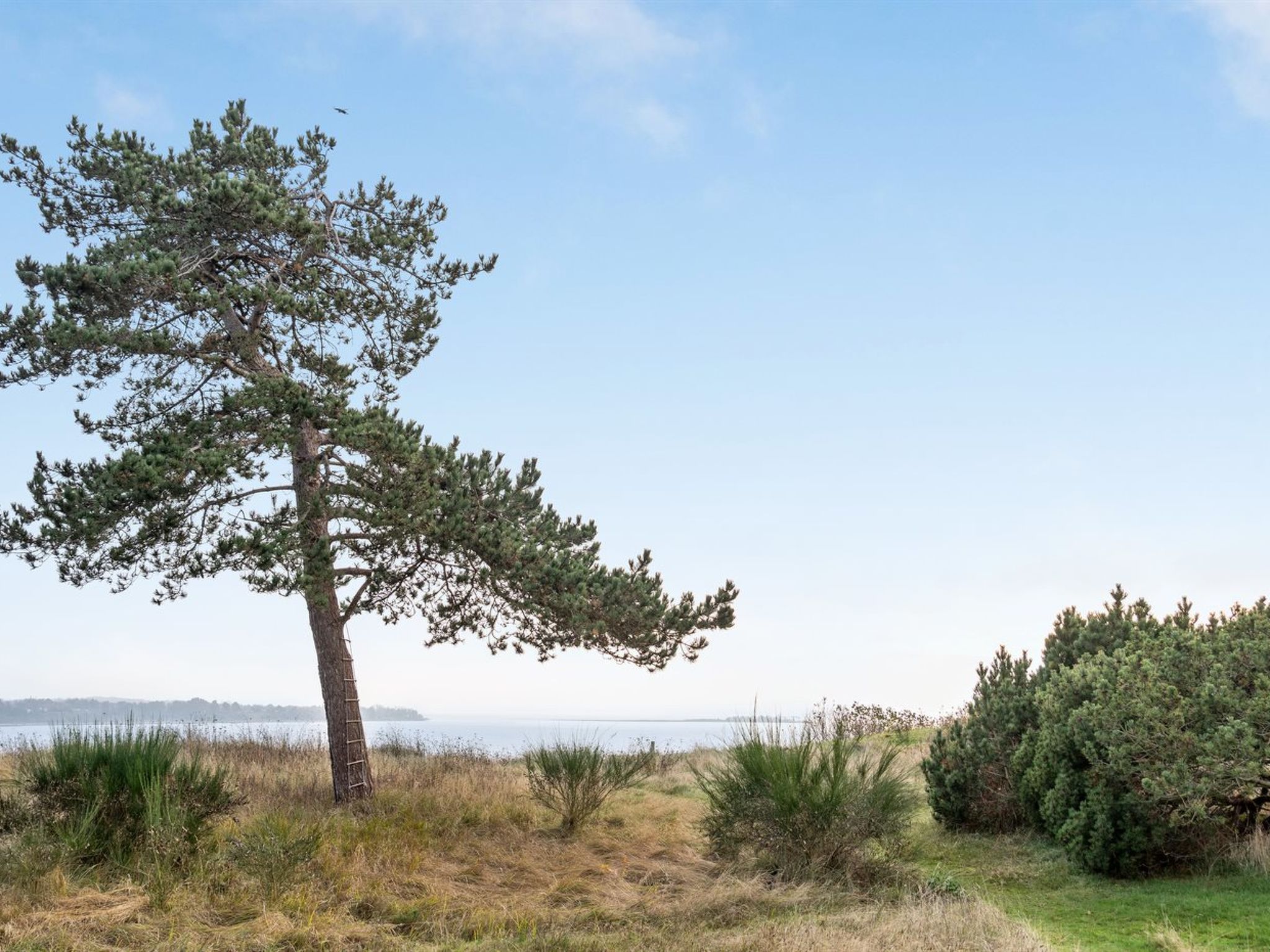 "Bosilka" - 75m from the sea - Buiten