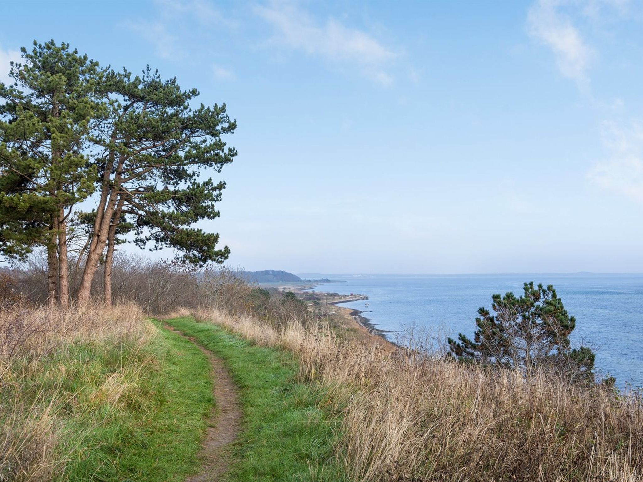 "Bosilka" - 75m from the sea-Buiten
