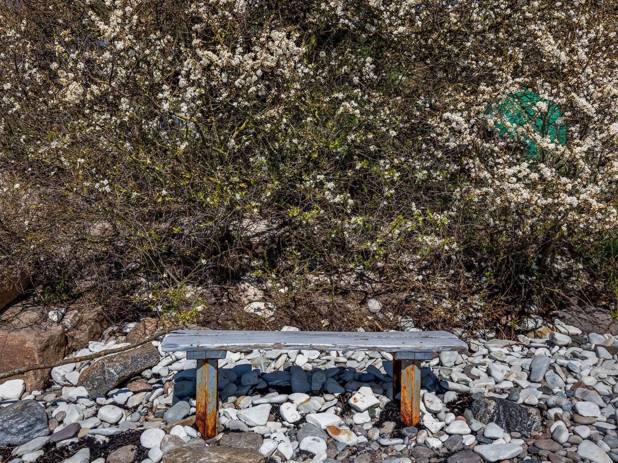 "Heleen" - 100m from the sea - Dehors