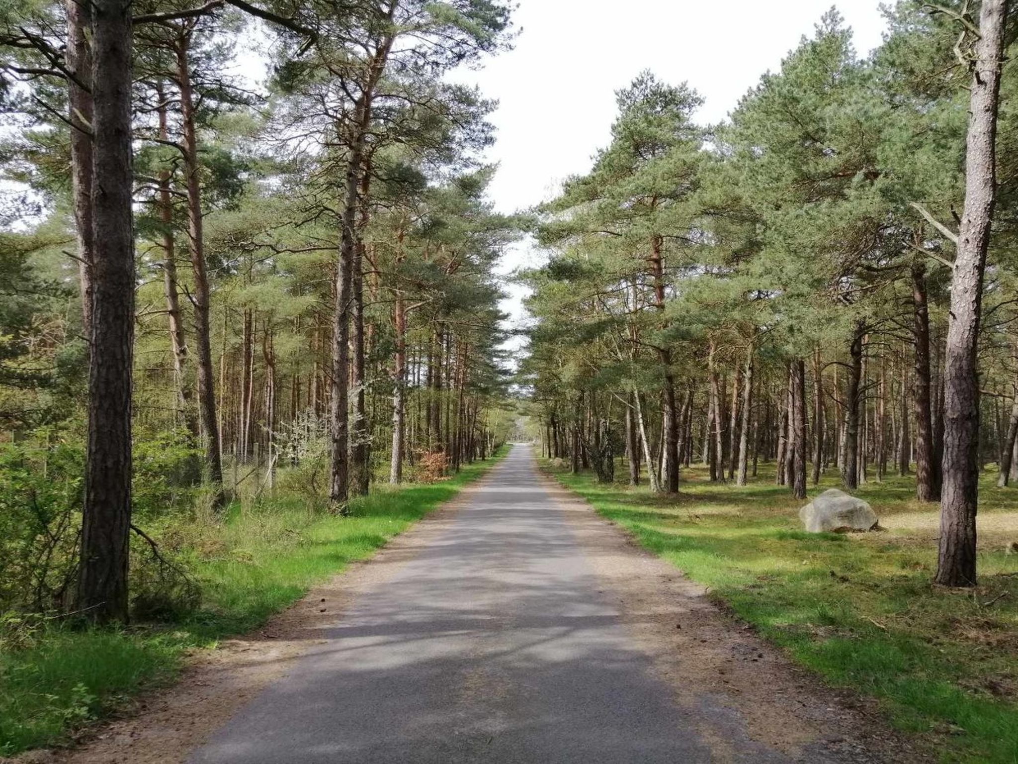 "Helmi" - 1km from the sea - Buiten