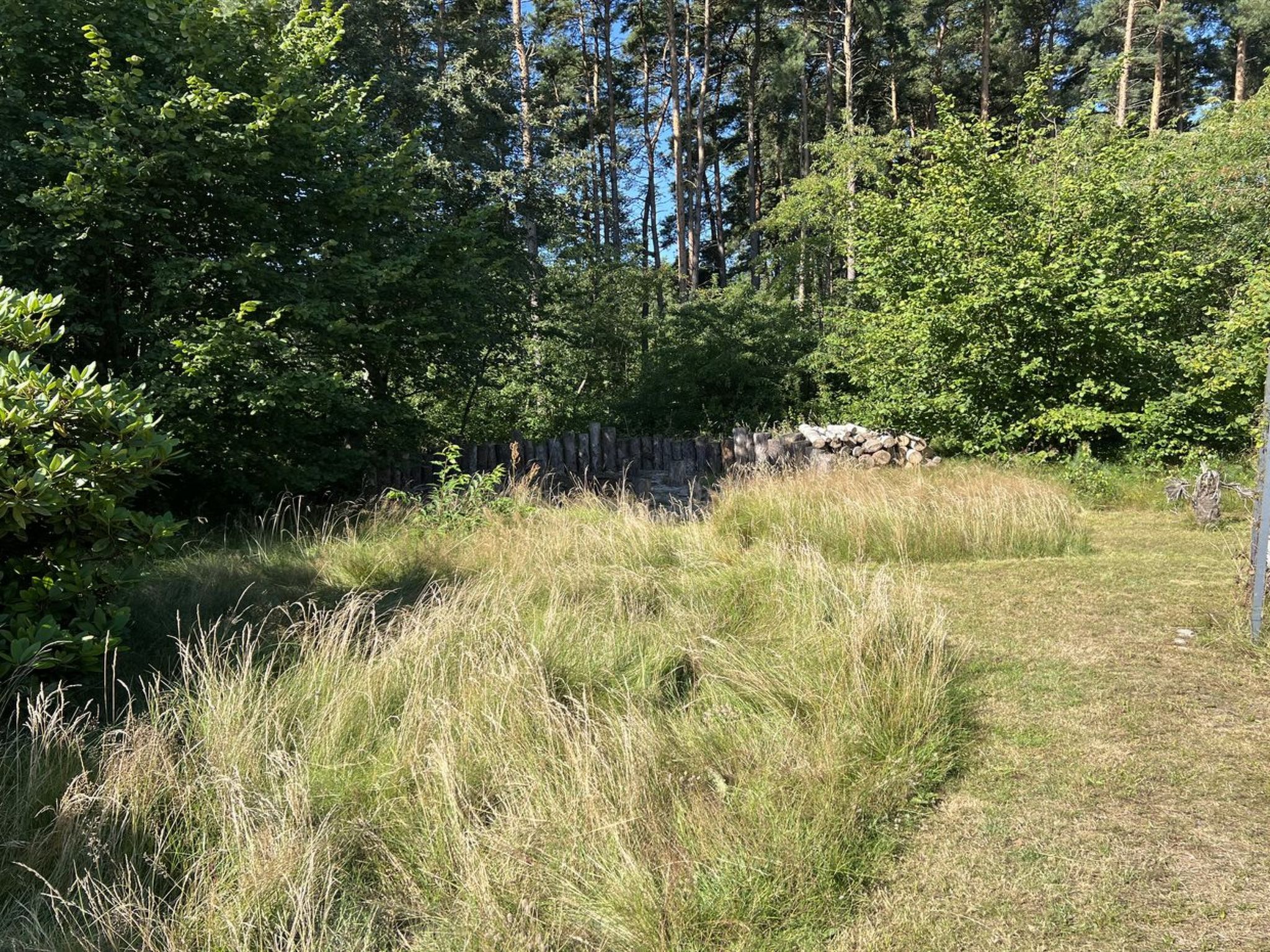 "Nikoletta" - 250m from the sea - Buiten