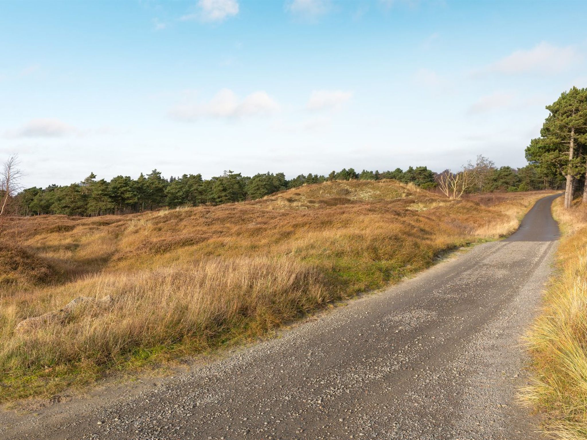 "Nikoletta" - 250m from the sea - Buiten