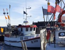 Vakantiehuis Benna: Sfeervol verblijf op 120 meter van de Oostzee - thumbnail 6