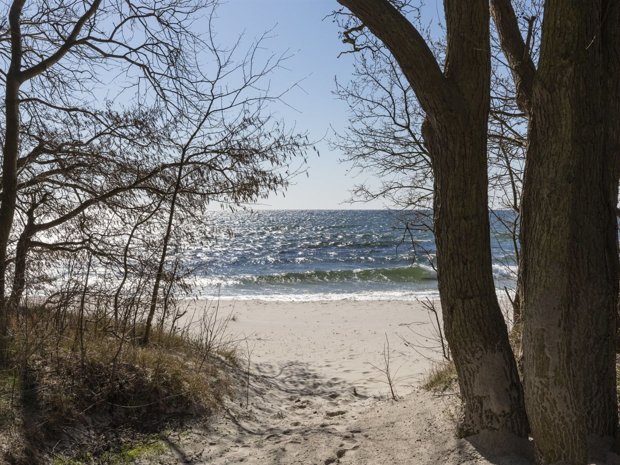 "Gottfrieda" - 300m from the sea