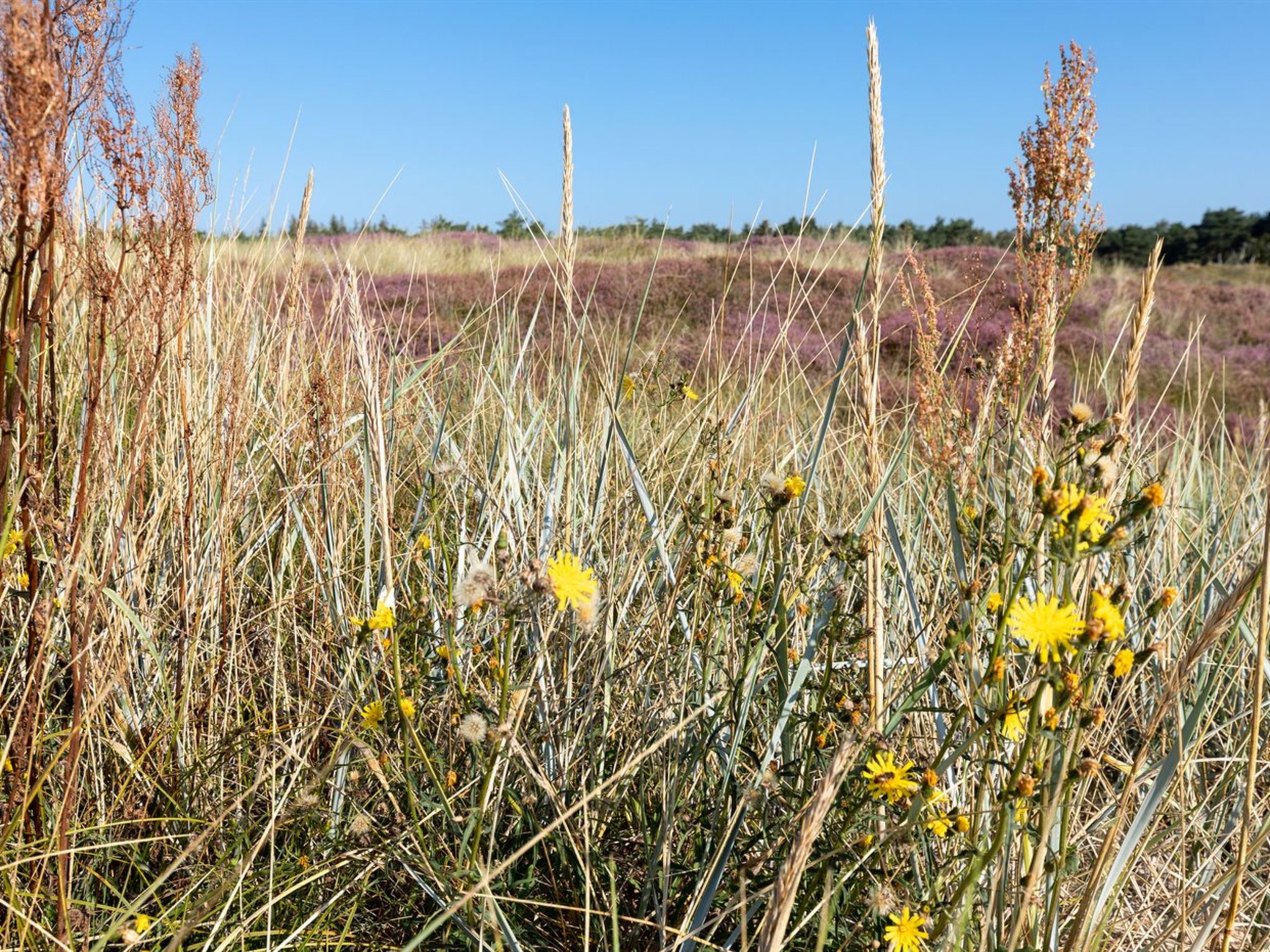 "Chenoa" - 200m from the sea-Buiten