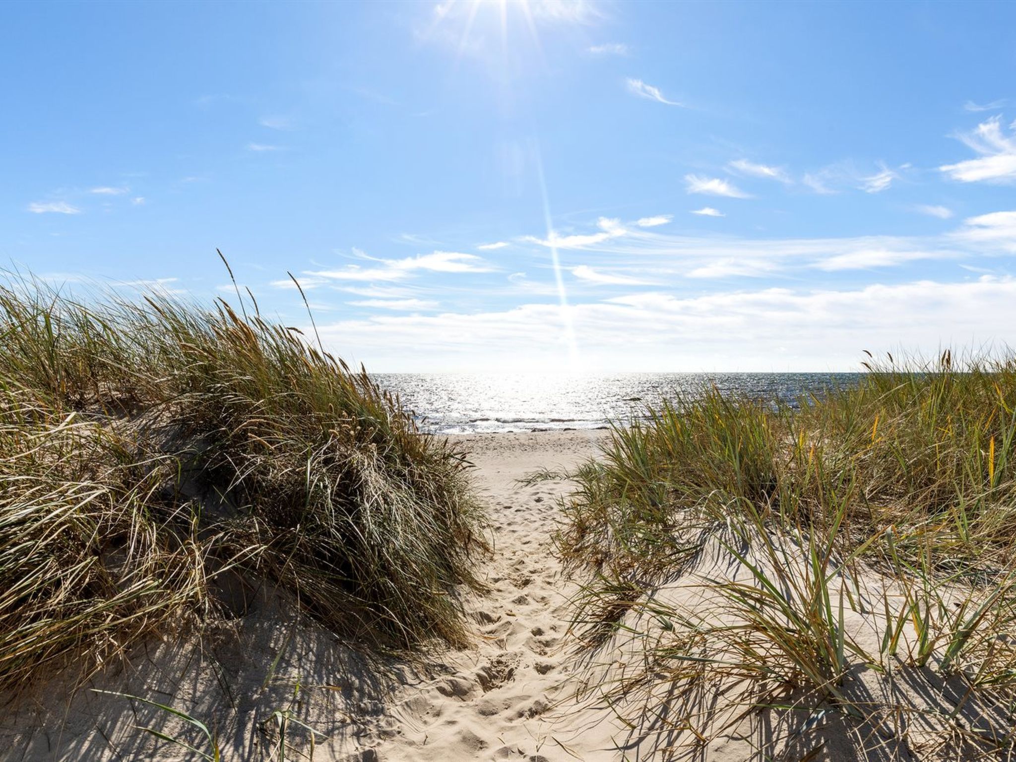 "Ailen" - 500m from the sea - Buiten