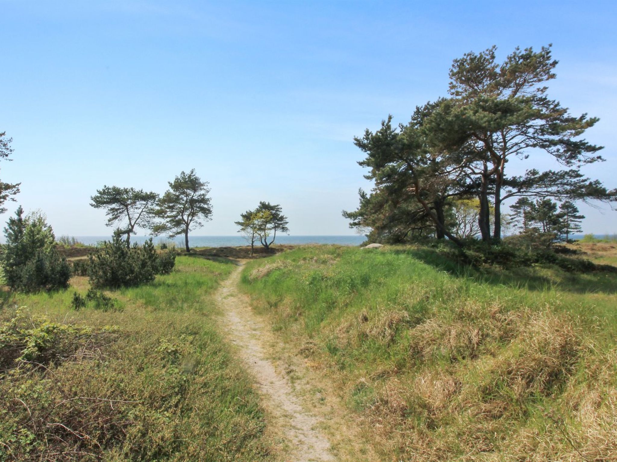 "Essi" - 300m from the sea - Buiten