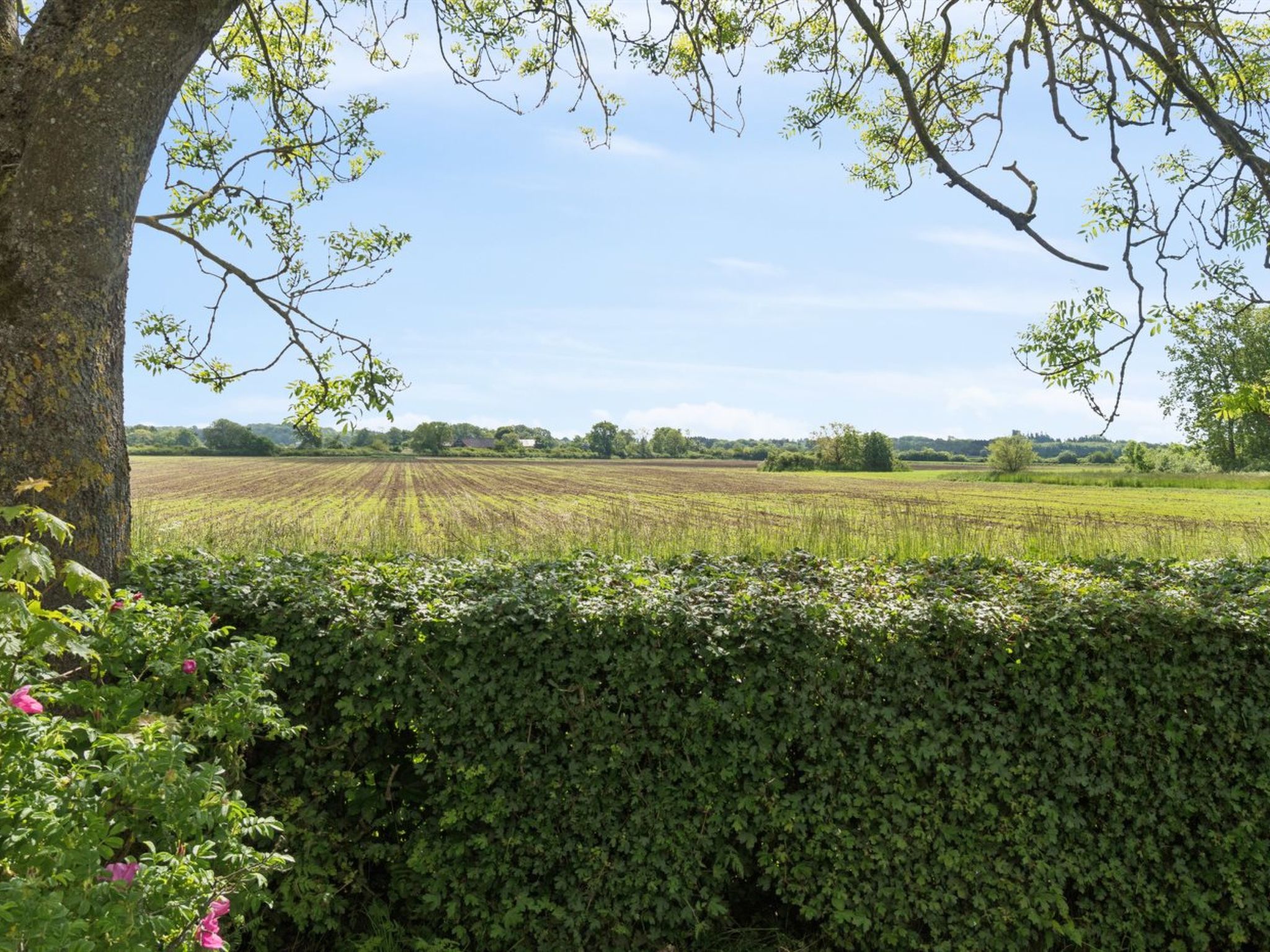 "Adrienne" - 6.4km from the sea-Outside