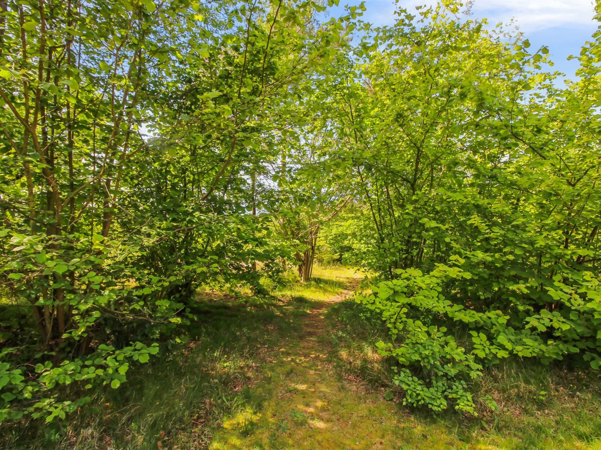 "Gullmaj" - 200m from the sea - Buiten