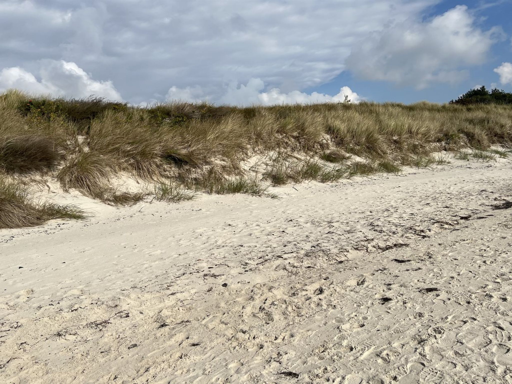 Op 700 m van zee: Sfeervol vakantiehuis in Aakirkeby - foto 29