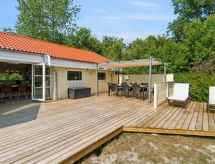 Vamika: Duinvilla voor 8 personen op 300 meter van de Oostzee - thumbnail 1