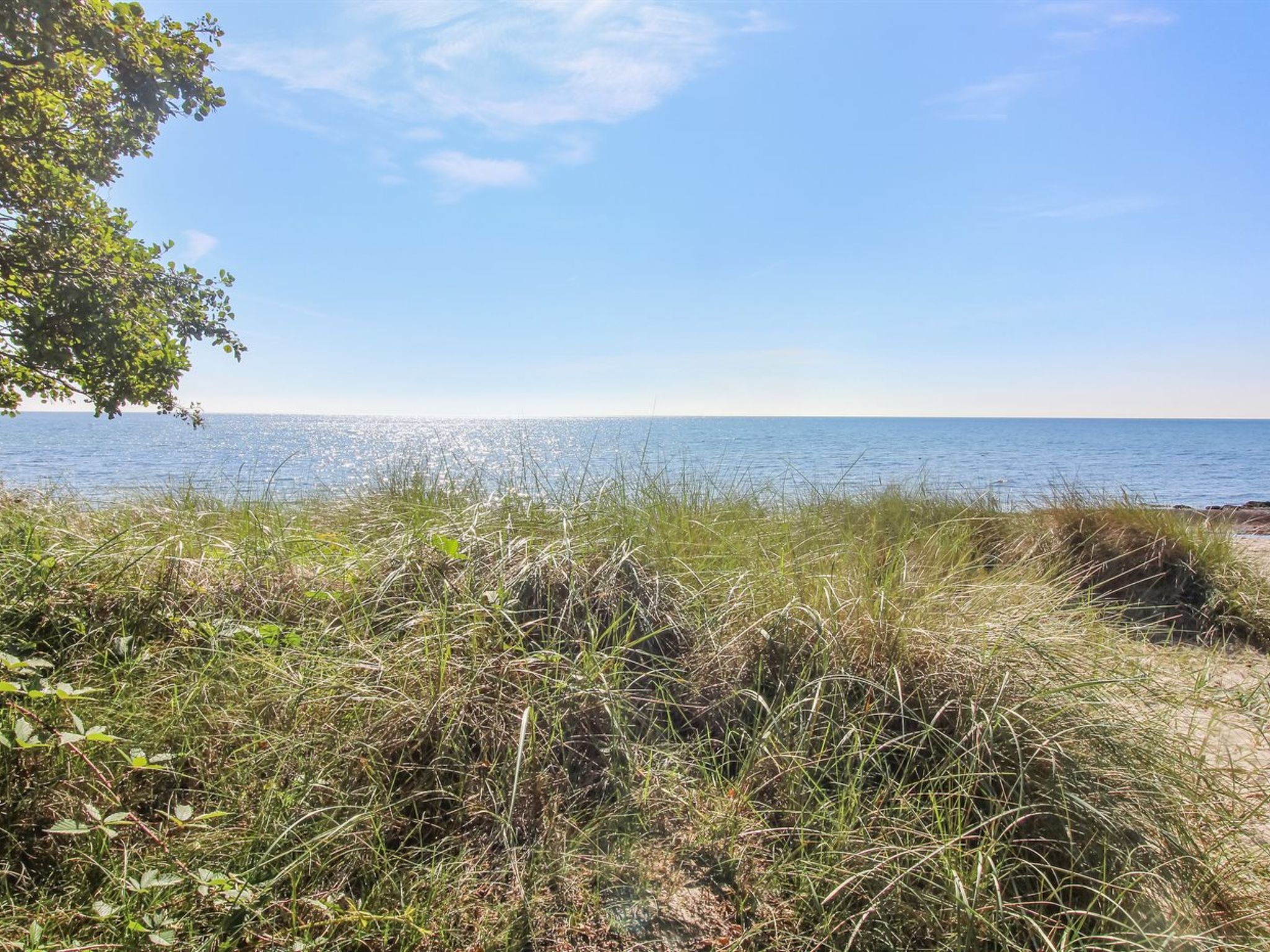 "Pisana" - 300m from the sea - Outside