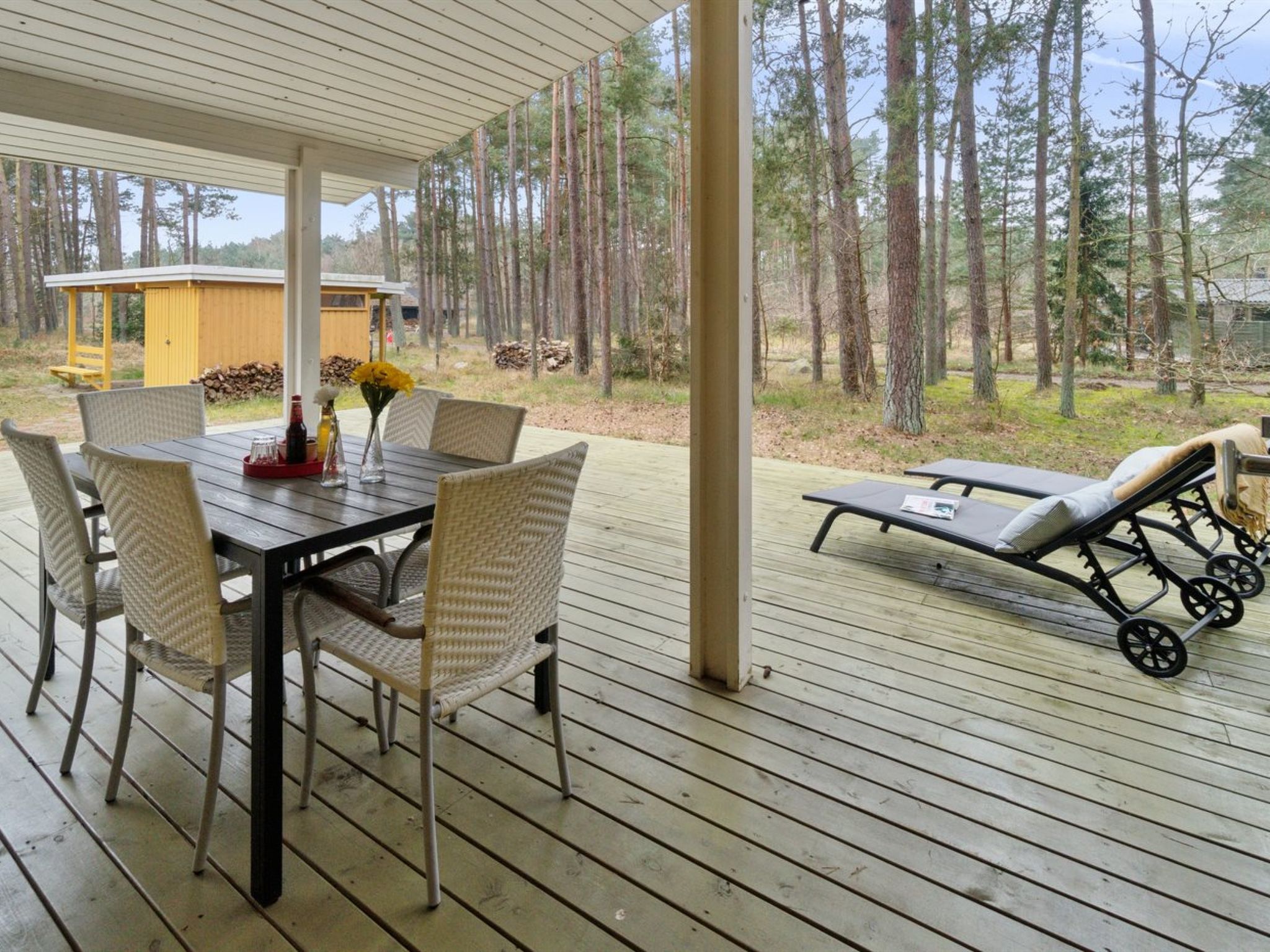 "Eick" - 800m from the sea — Terrace (4 of 31)