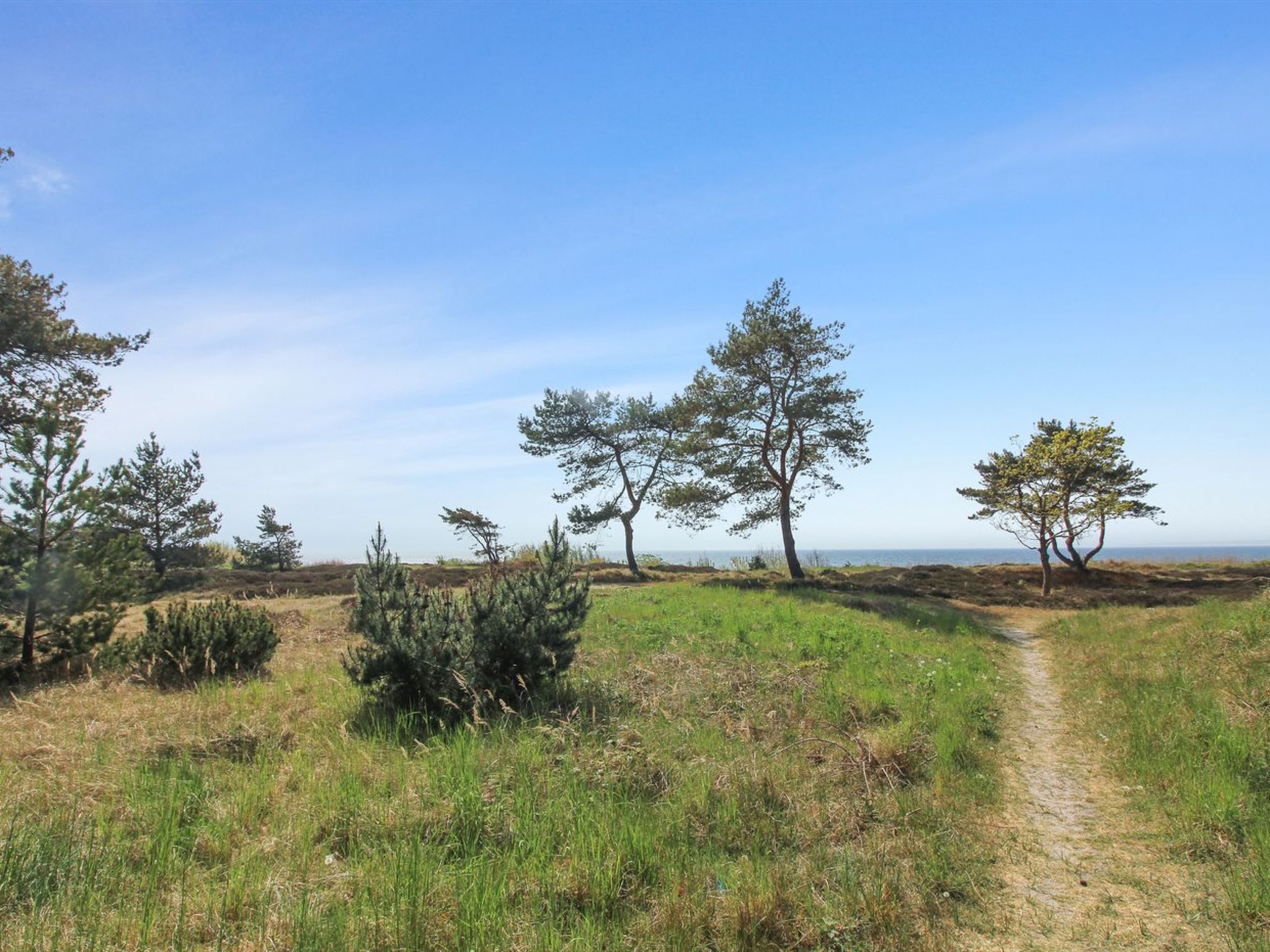 "Eick" - 800m from the sea - Buiten