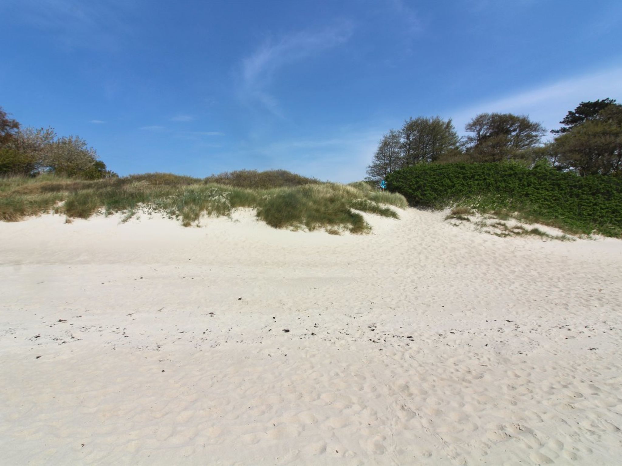 "Ahti" - 340m from the sea-Buiten