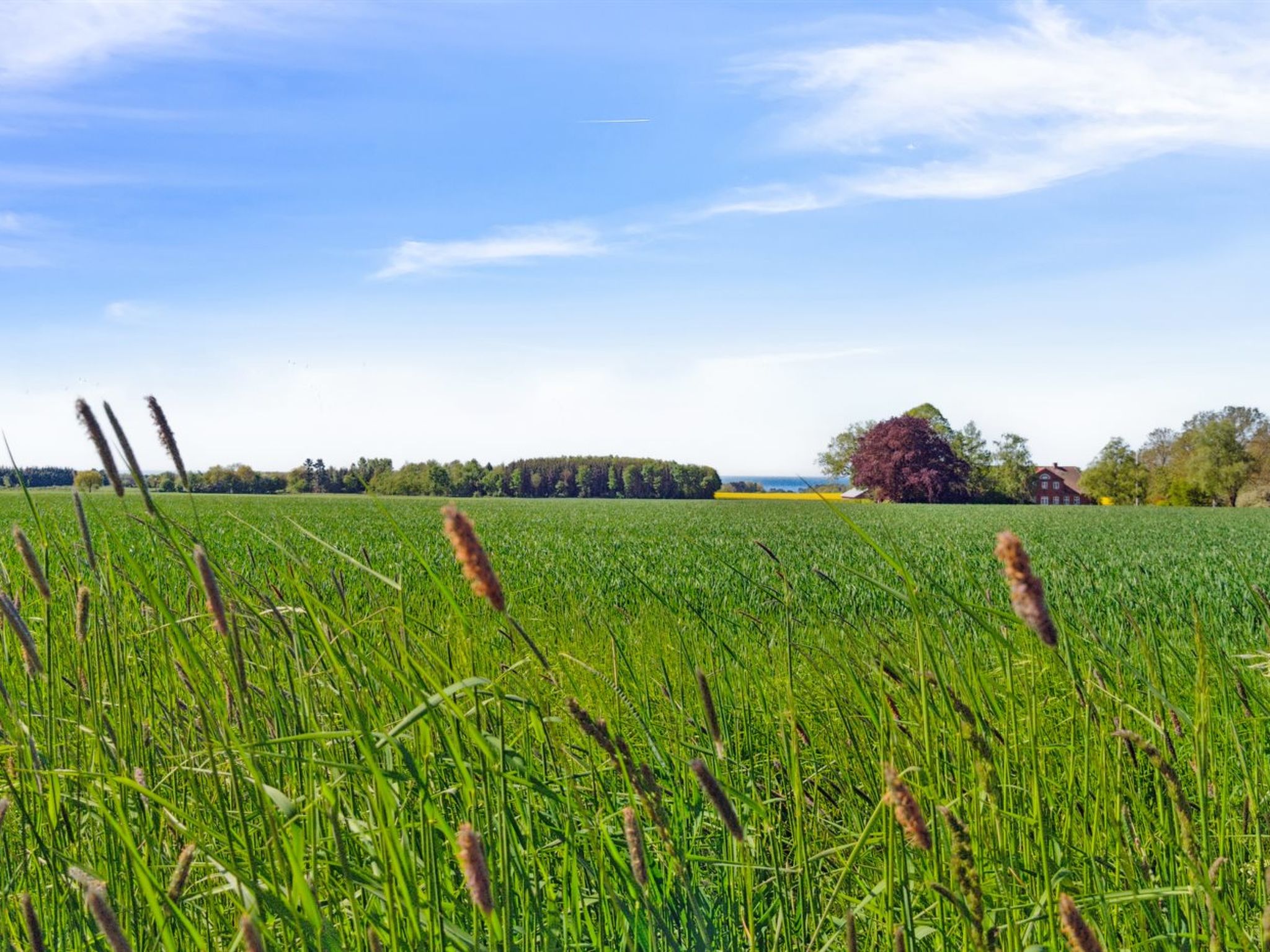 "Agny" - 2.2km from the sea - Dehors