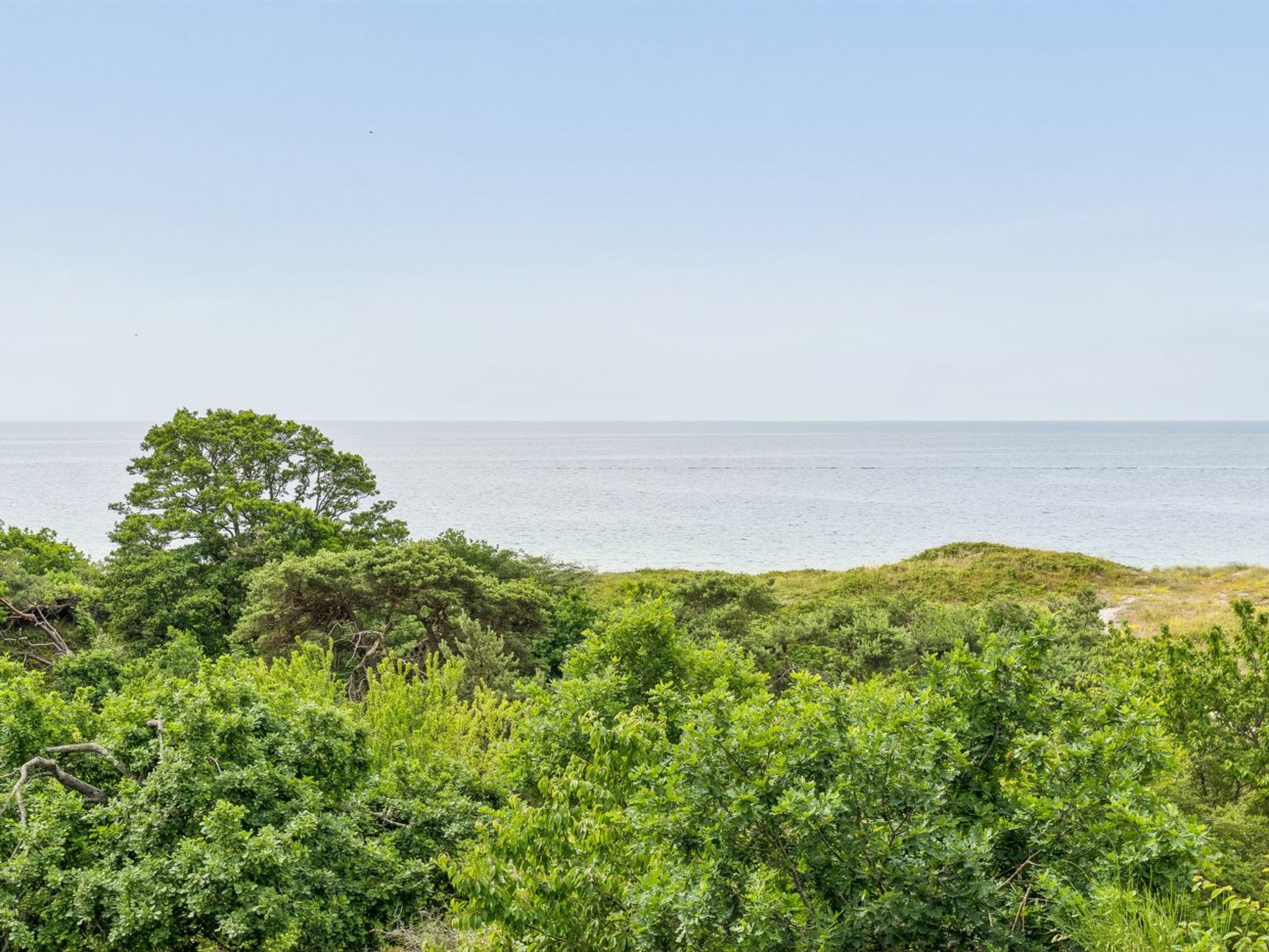 "Mariam" - 100m from the sea - Outside