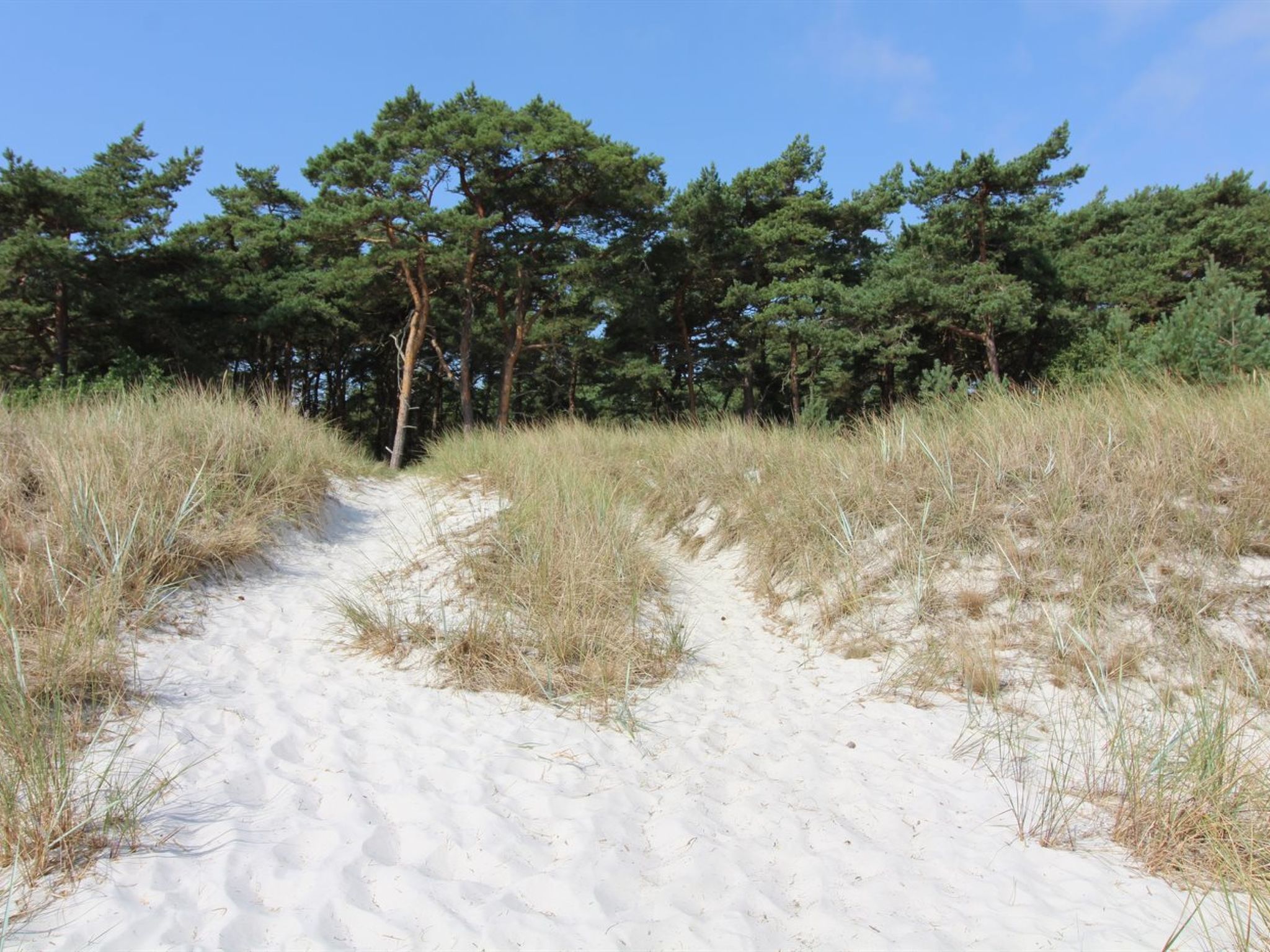 "Yaris" - 4.5km from the sea - Buiten