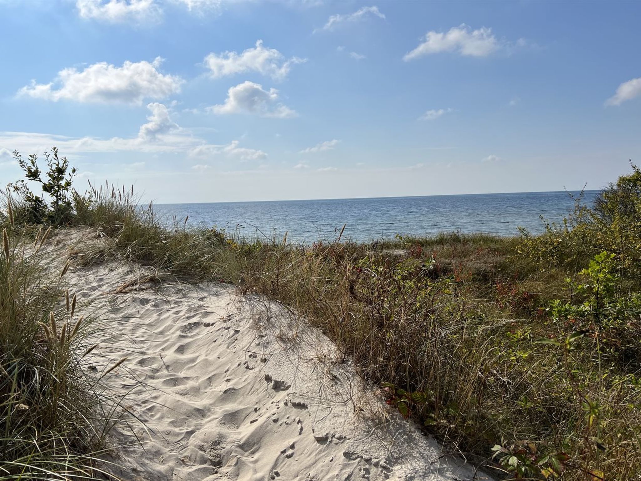 "Ruse" - 6km from the sea - Draußen
