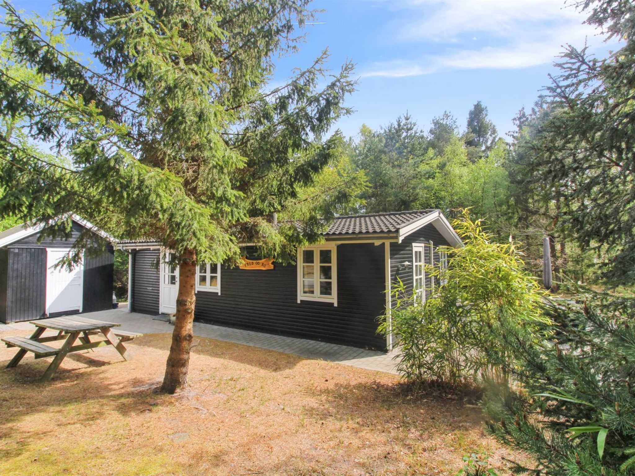 "Zeytun" - 800m from the sea — House (5 of 23)