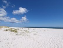 "Jose" - 300m from the sea