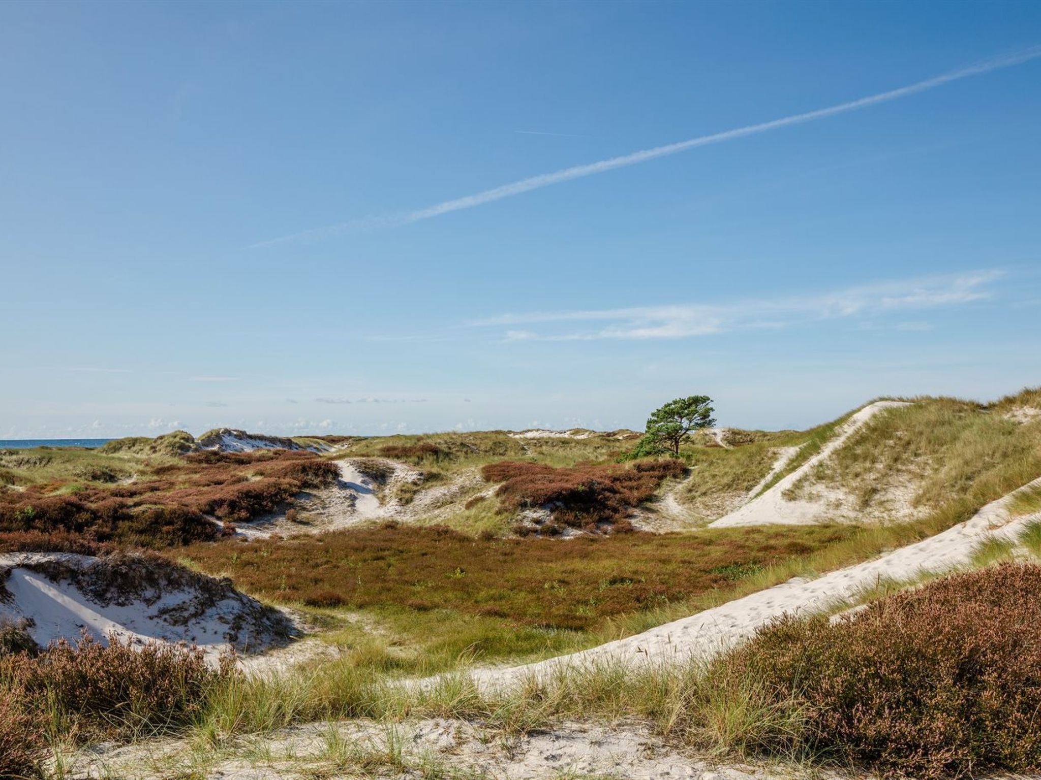 "Elza" - 800m from the sea-Outside