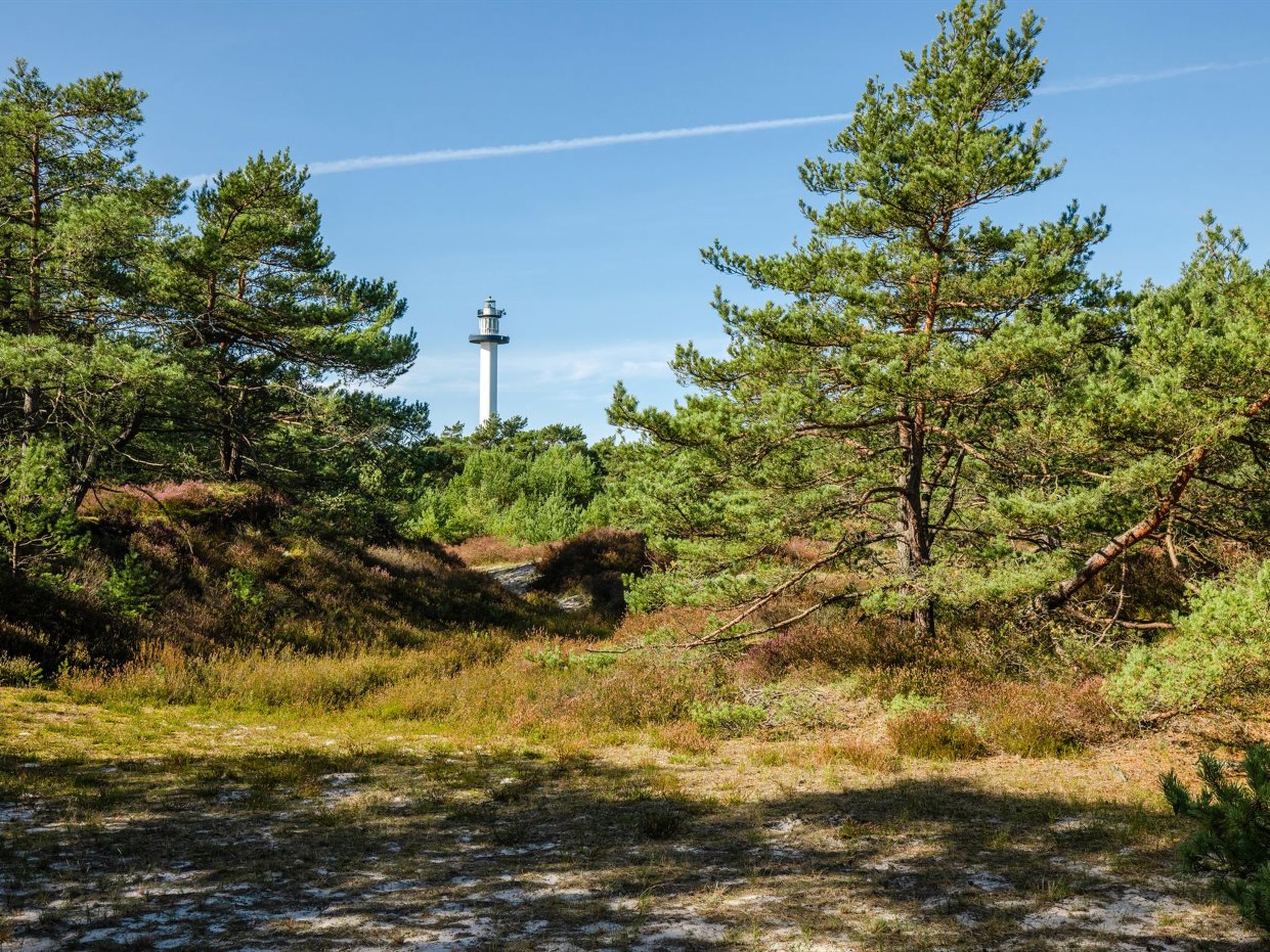 "Elza" - 800m from the sea - Dehors