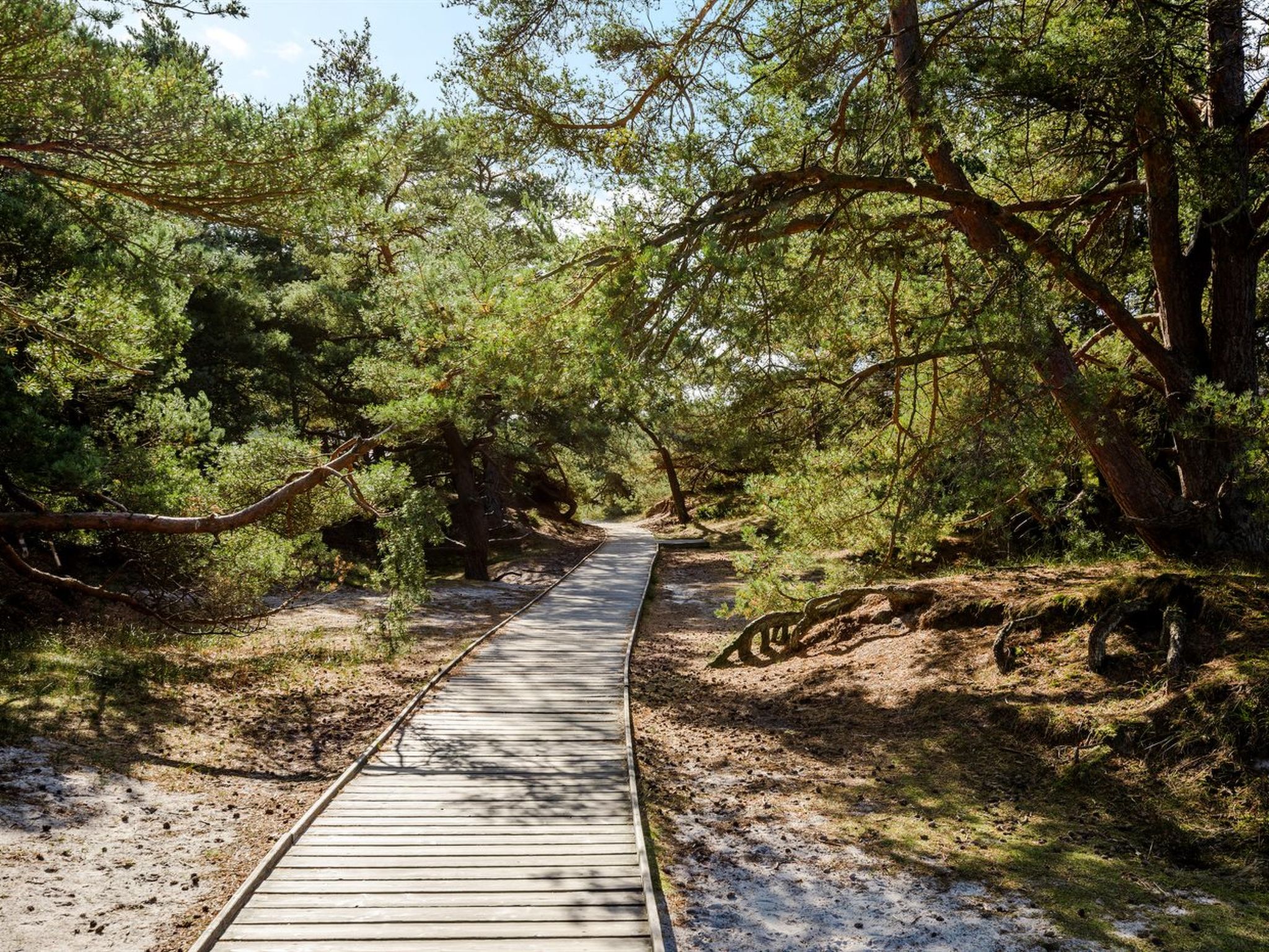"Elza" - 800m from the sea - Dehors
