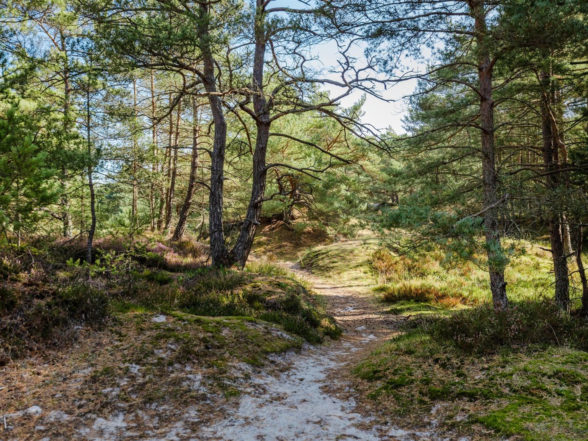 "Elza" - 800m from the sea - Dehors