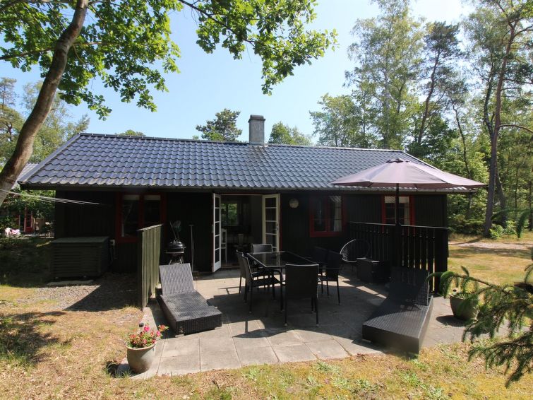 "Gustav" - 250m from the sea", huis 3-kamers 56 m2. Het objekt is geschikt voor 6 volwassenen. Woonkamer met TV en DVD. 1 kamer met 2 bedden. 1 kamer met 1 2-pers bed. 1 kamer met 1 2-pers bed. Keuken..