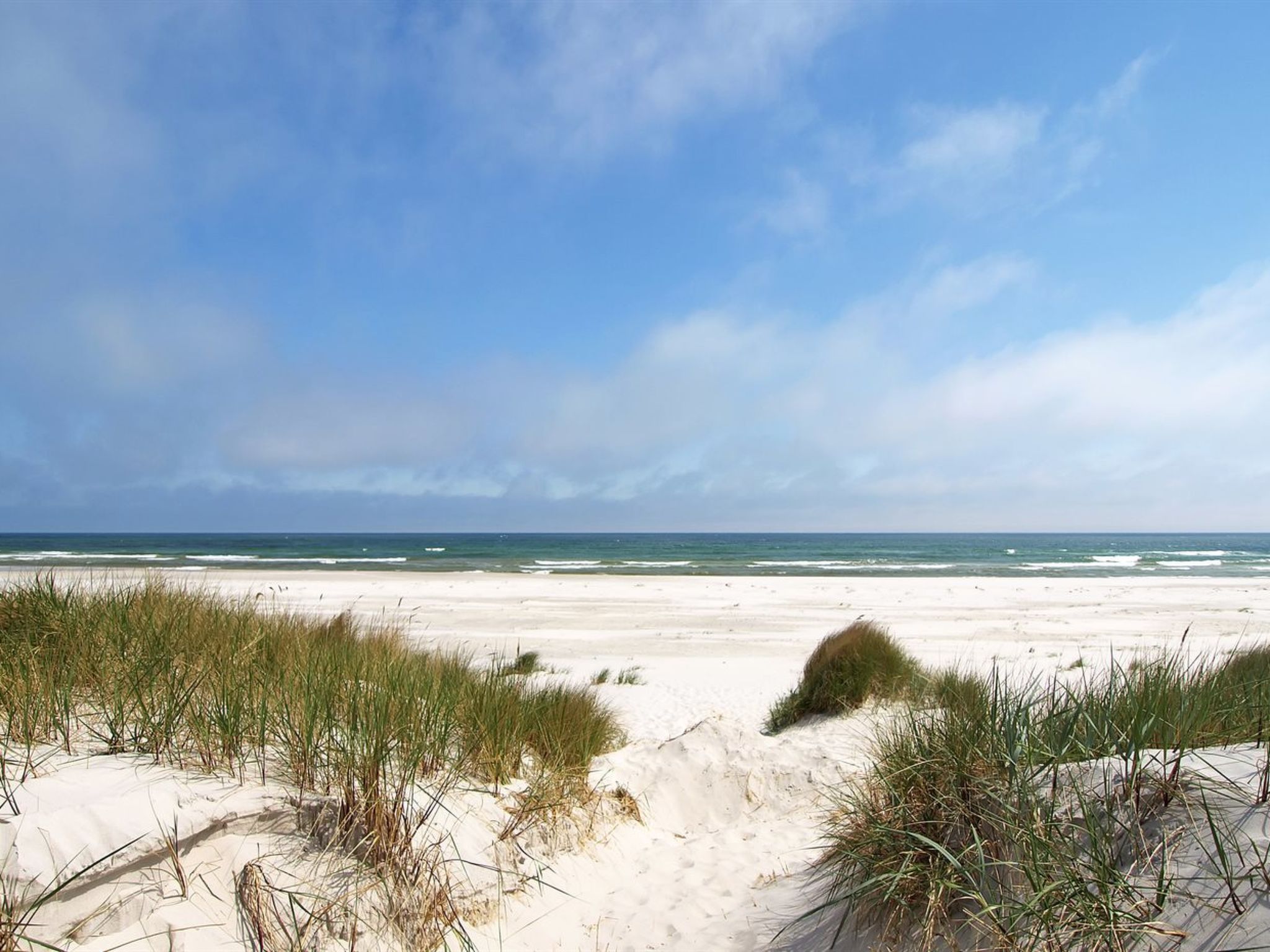 "Georg" - 300m from the sea