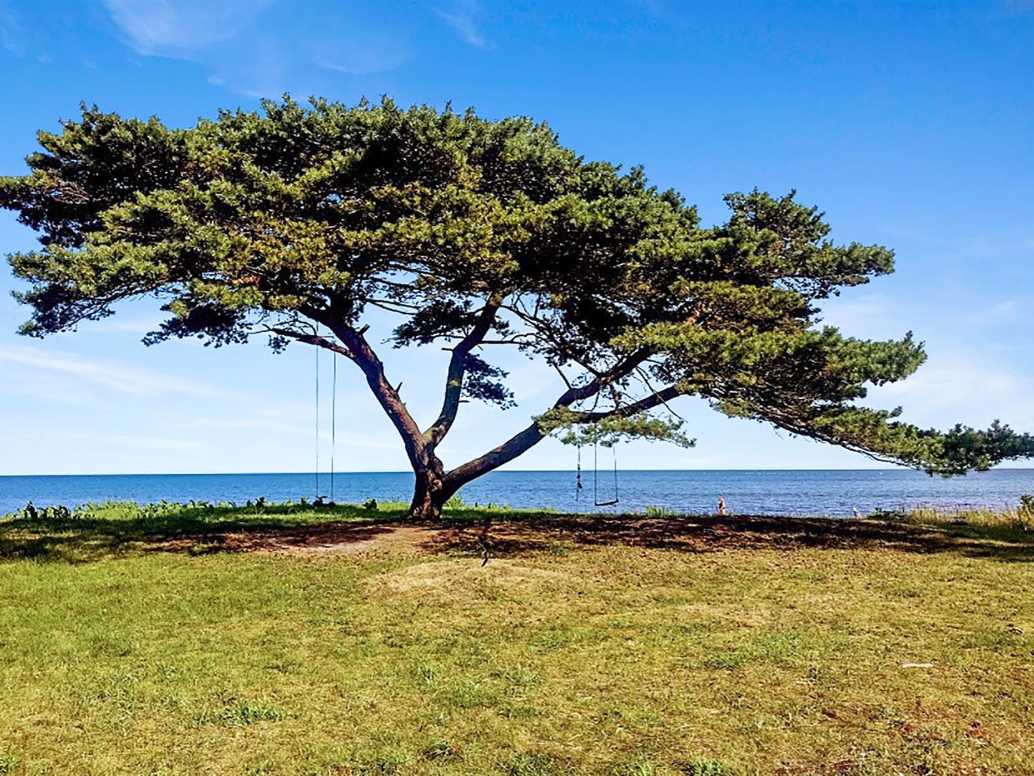 "Anemette" - 100m from the sea - Buiten