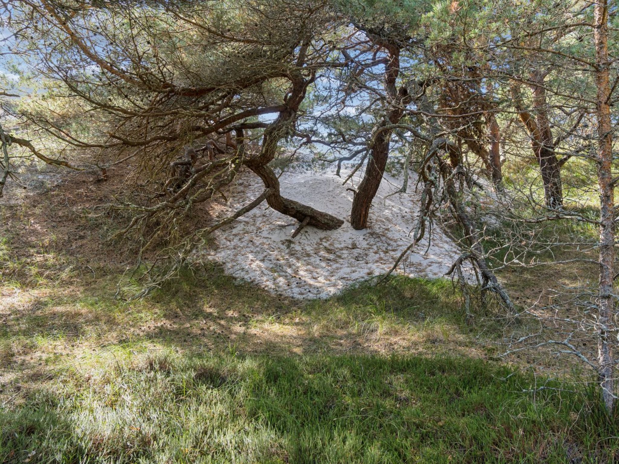"Minka" - 300m from the sea