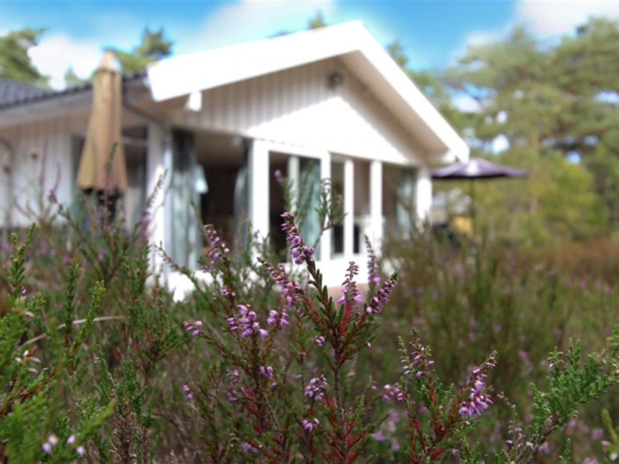 "Minka" - 1.5km from the sea — Terrace (2 of 32)