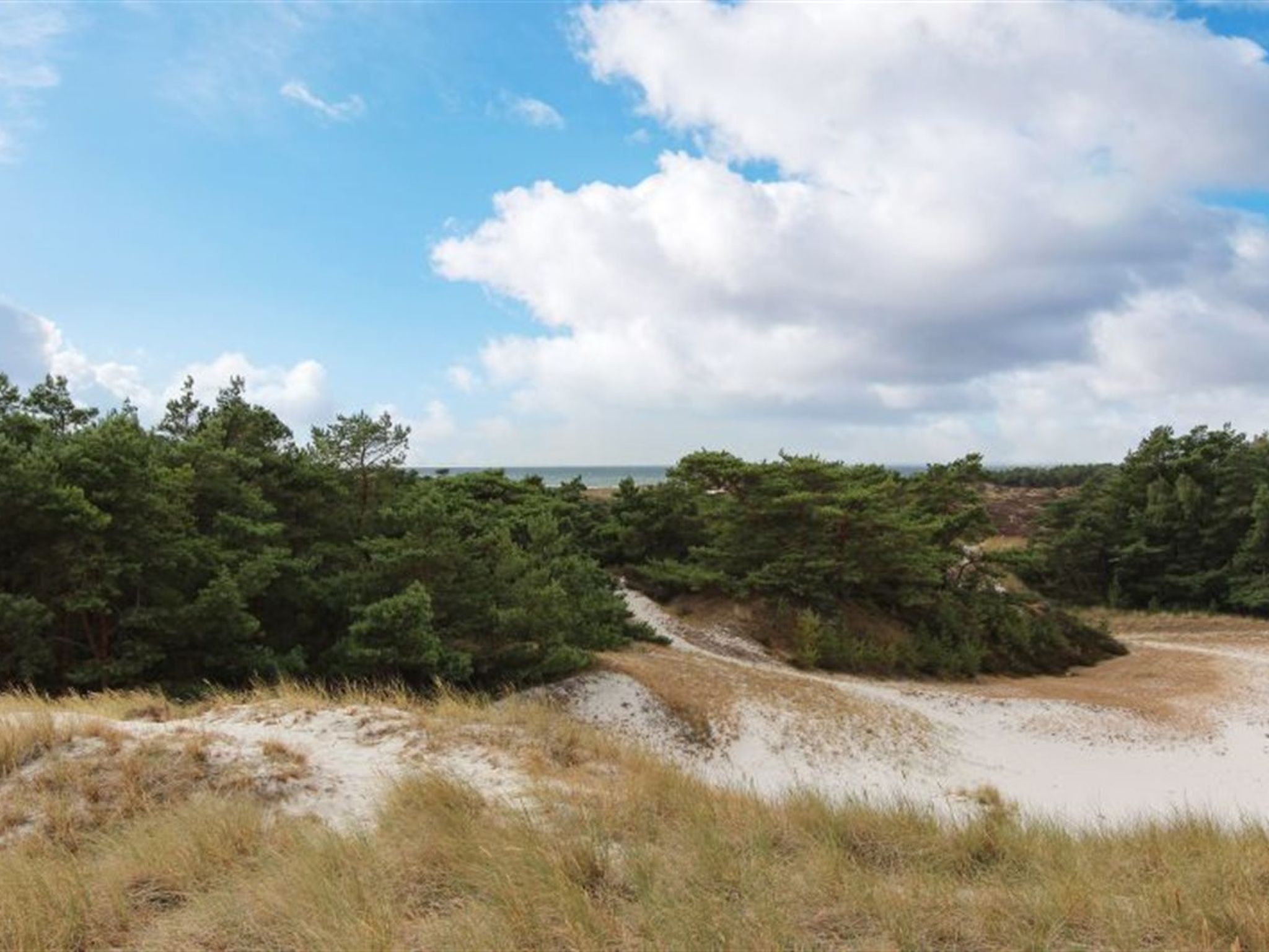 "Minka" - 300m from the sea
