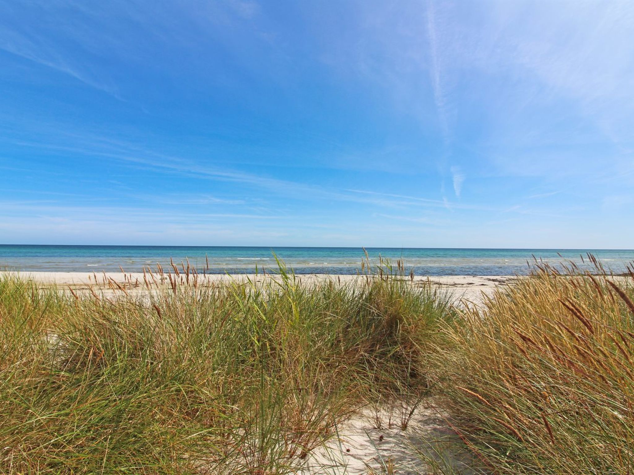 "Læff" - 50m from the sea