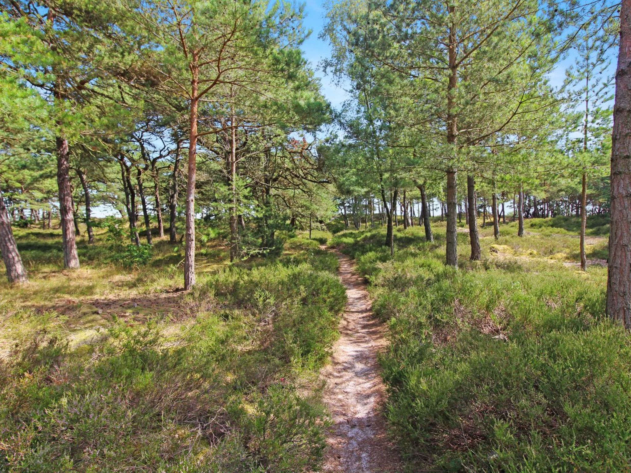 "Læff" - 50m from the sea - Outside
