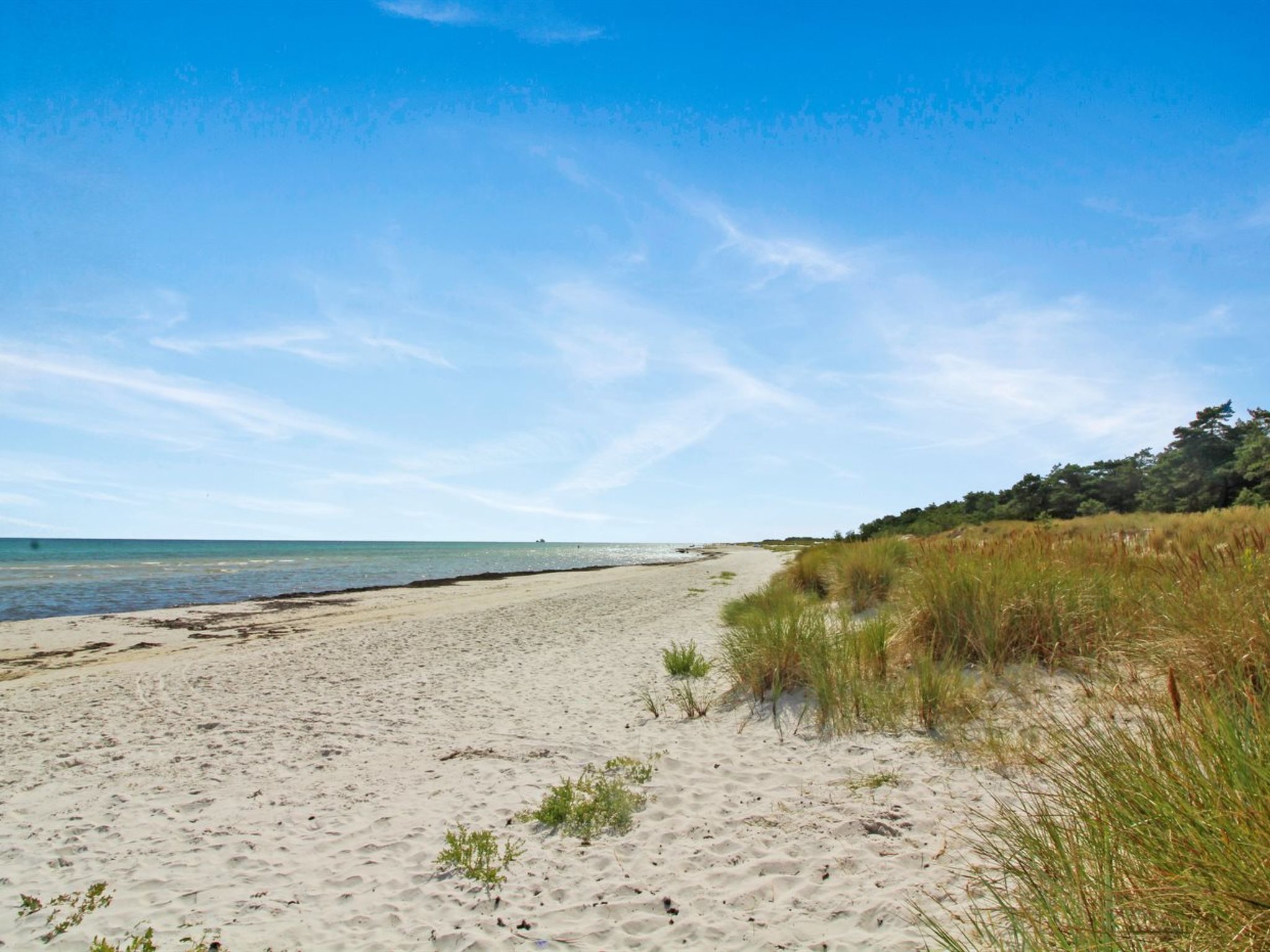 "Læff" - 50m from the sea - Outside