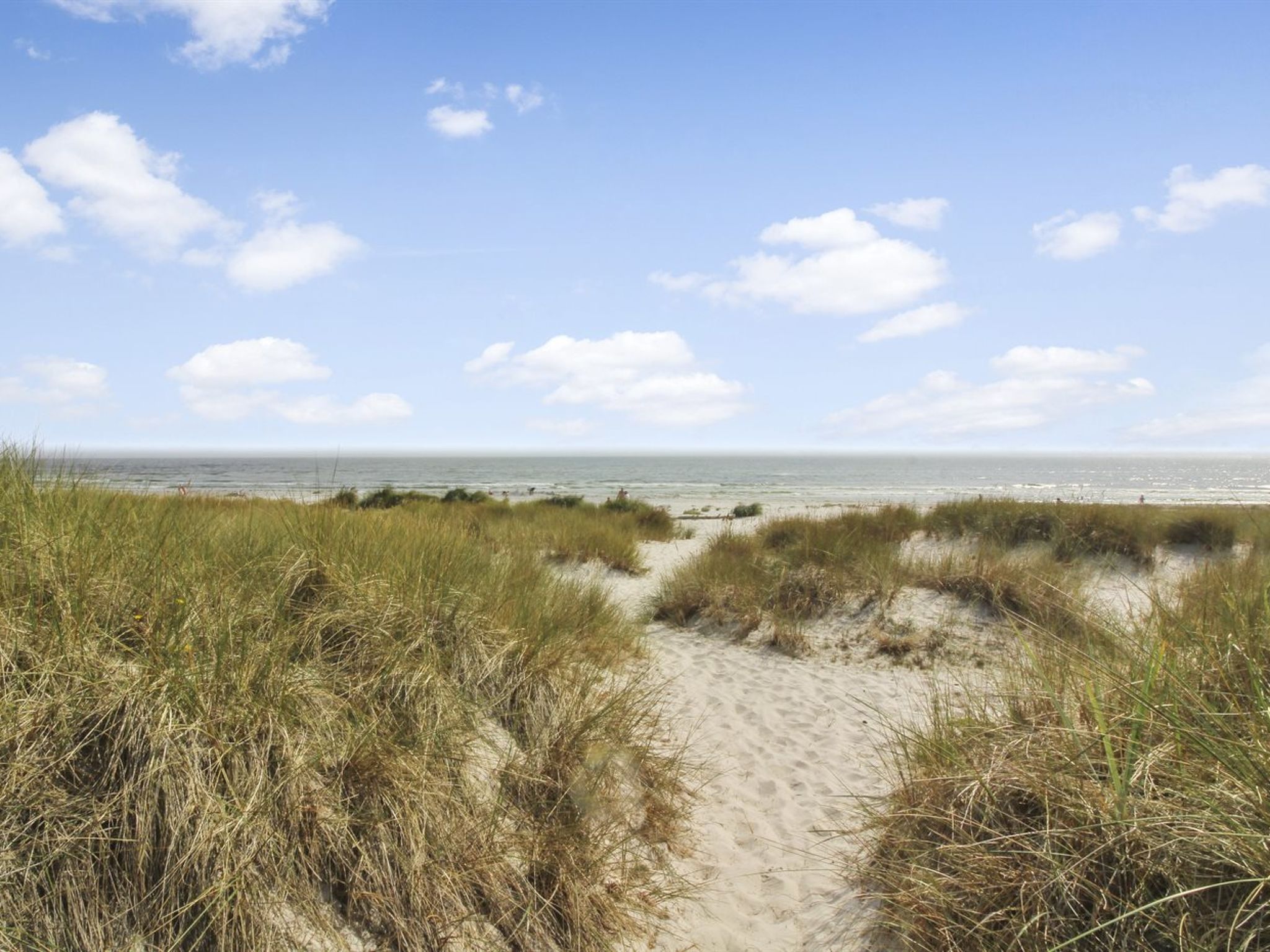 "Mikkelina" - 700m from the sea-Buiten