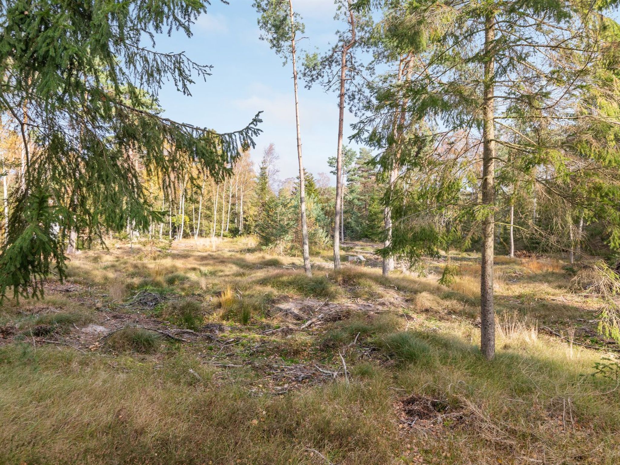 "Jaarne" - 800m from the sea - Buiten