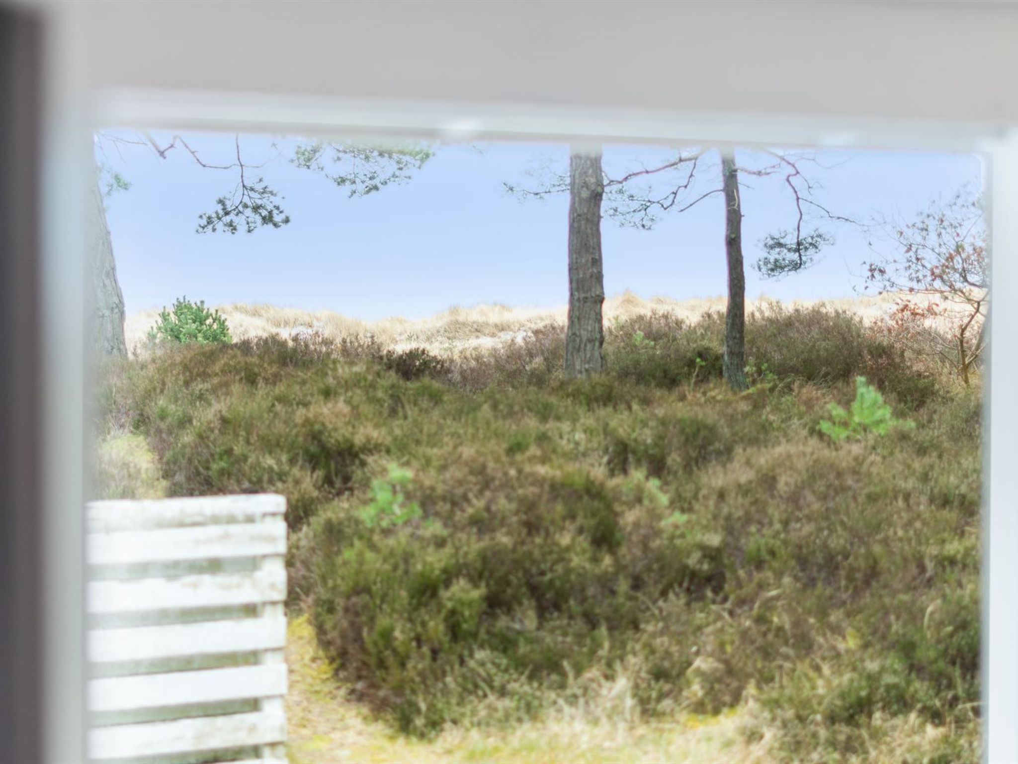 "Sanela" - 25m from the sea - Outside