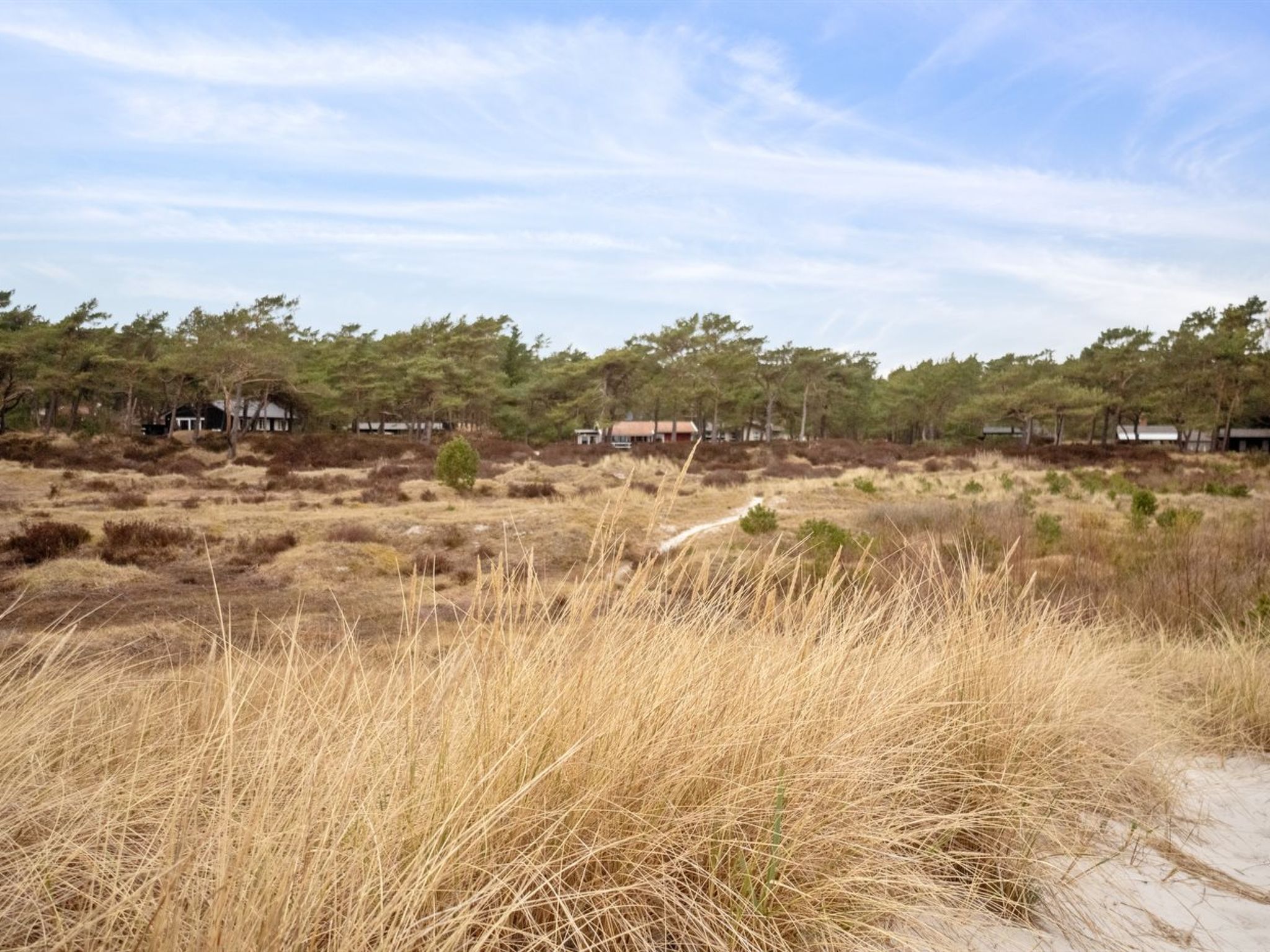 "Sanela" - 25m from the sea - Outside