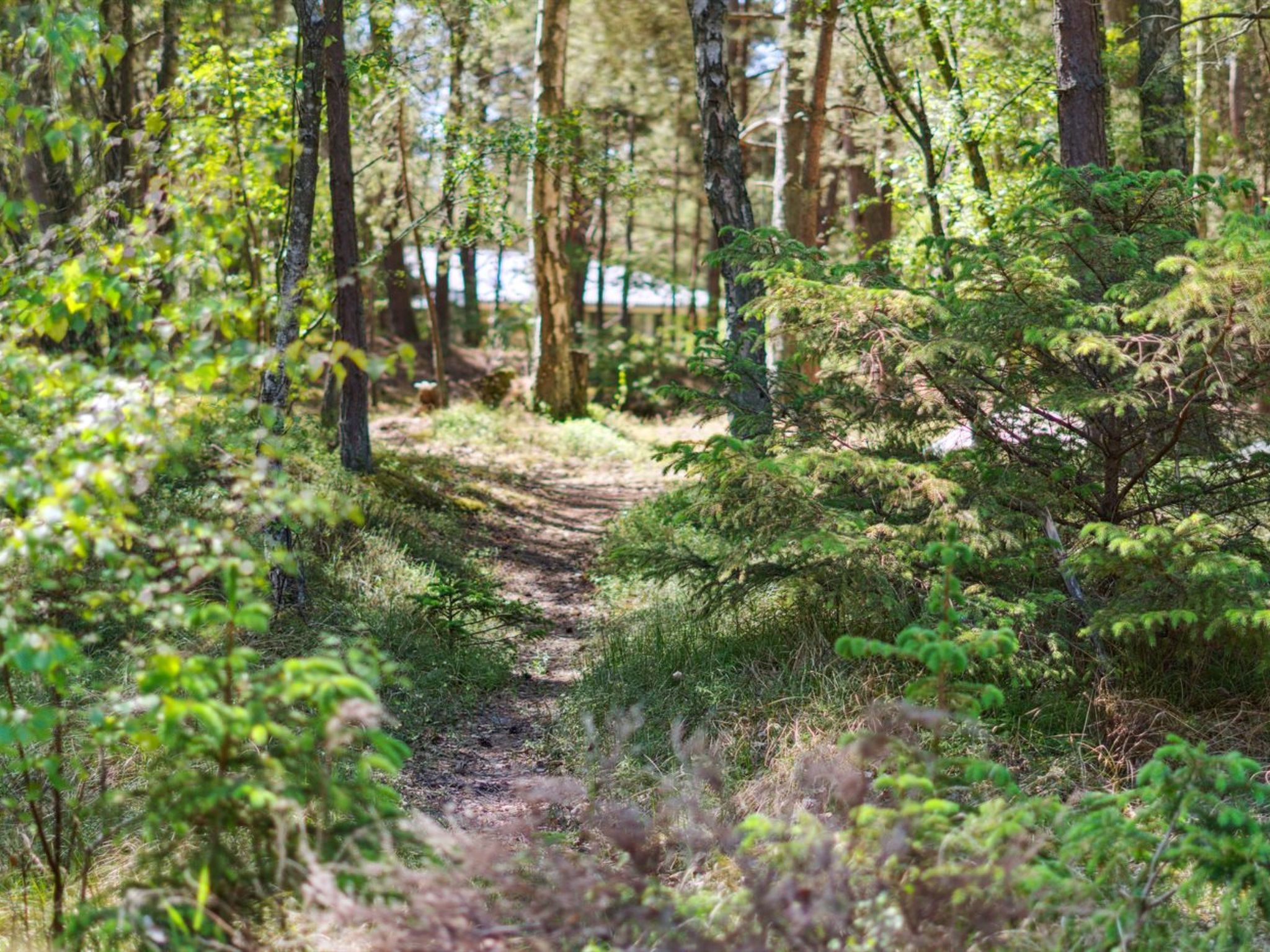 "Olla" - 400m from the sea - Buiten
