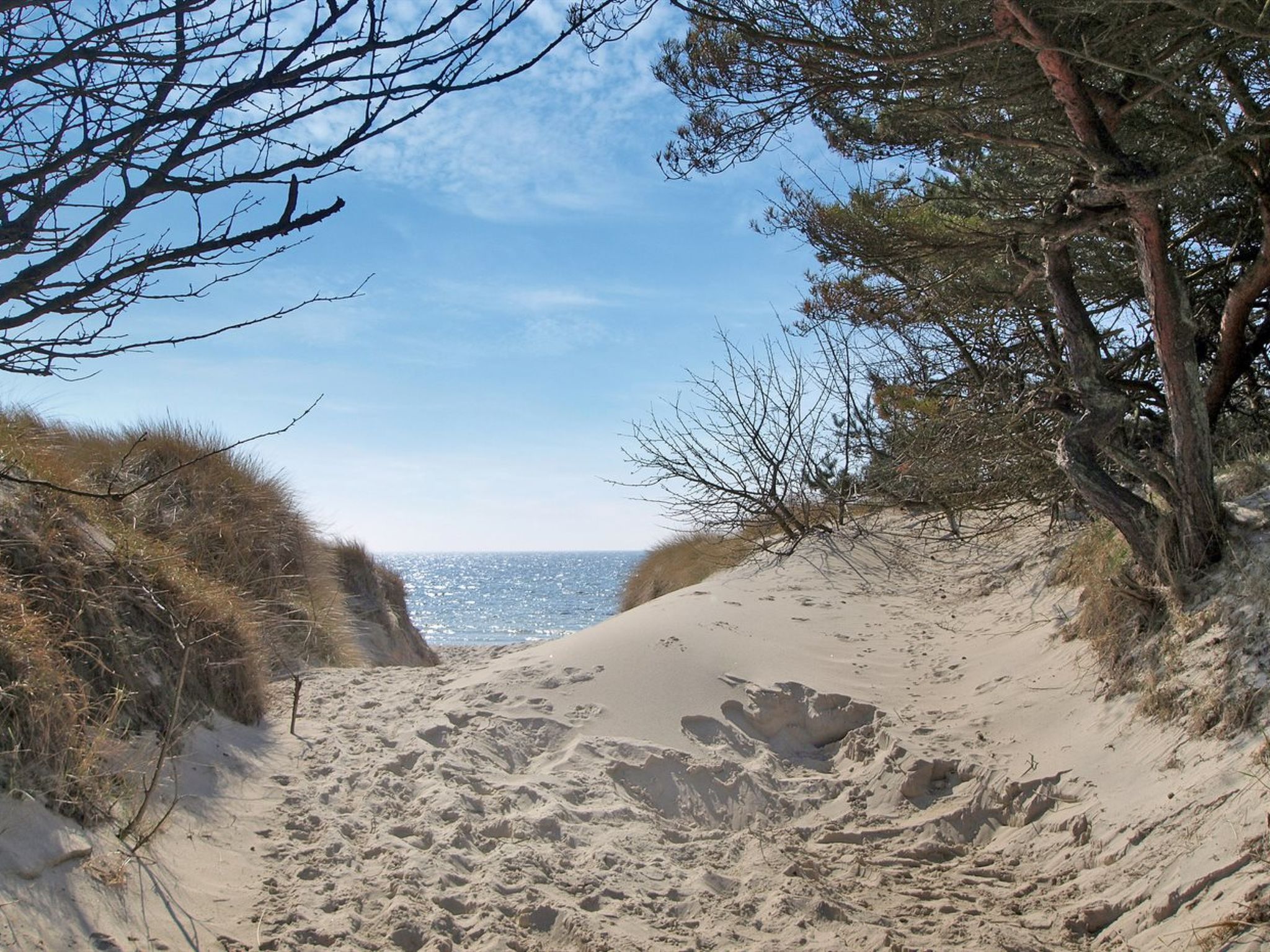 "Olla" - 400m from the sea - Buiten