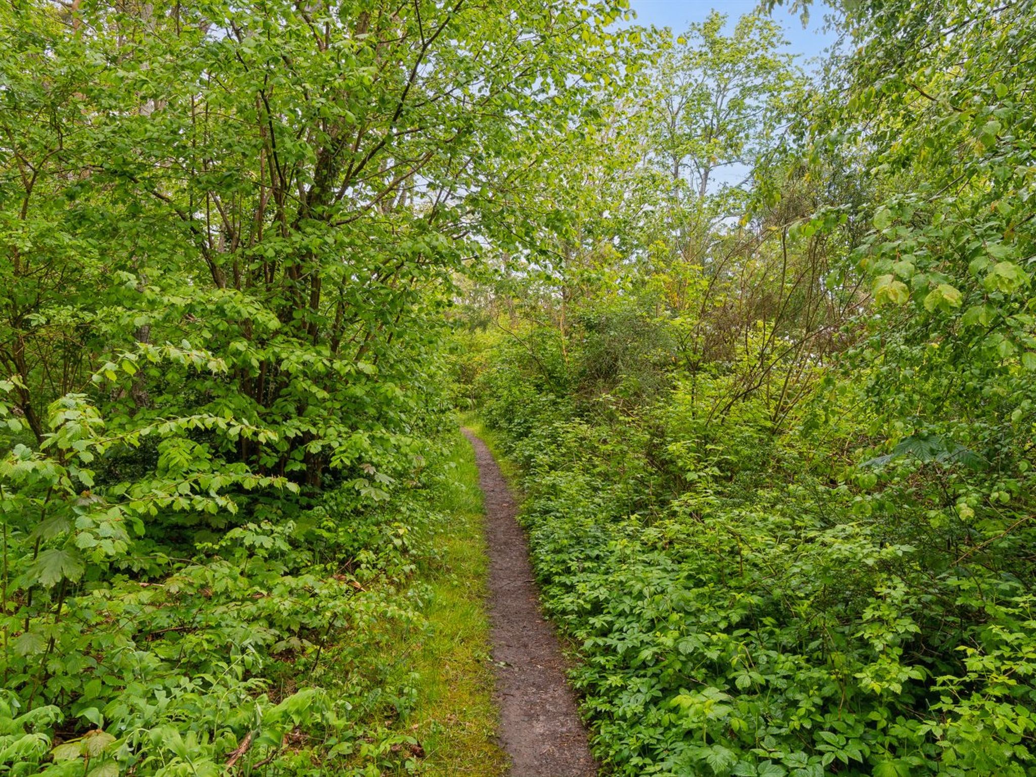 "Arkil" - 150m from the sea - Buiten