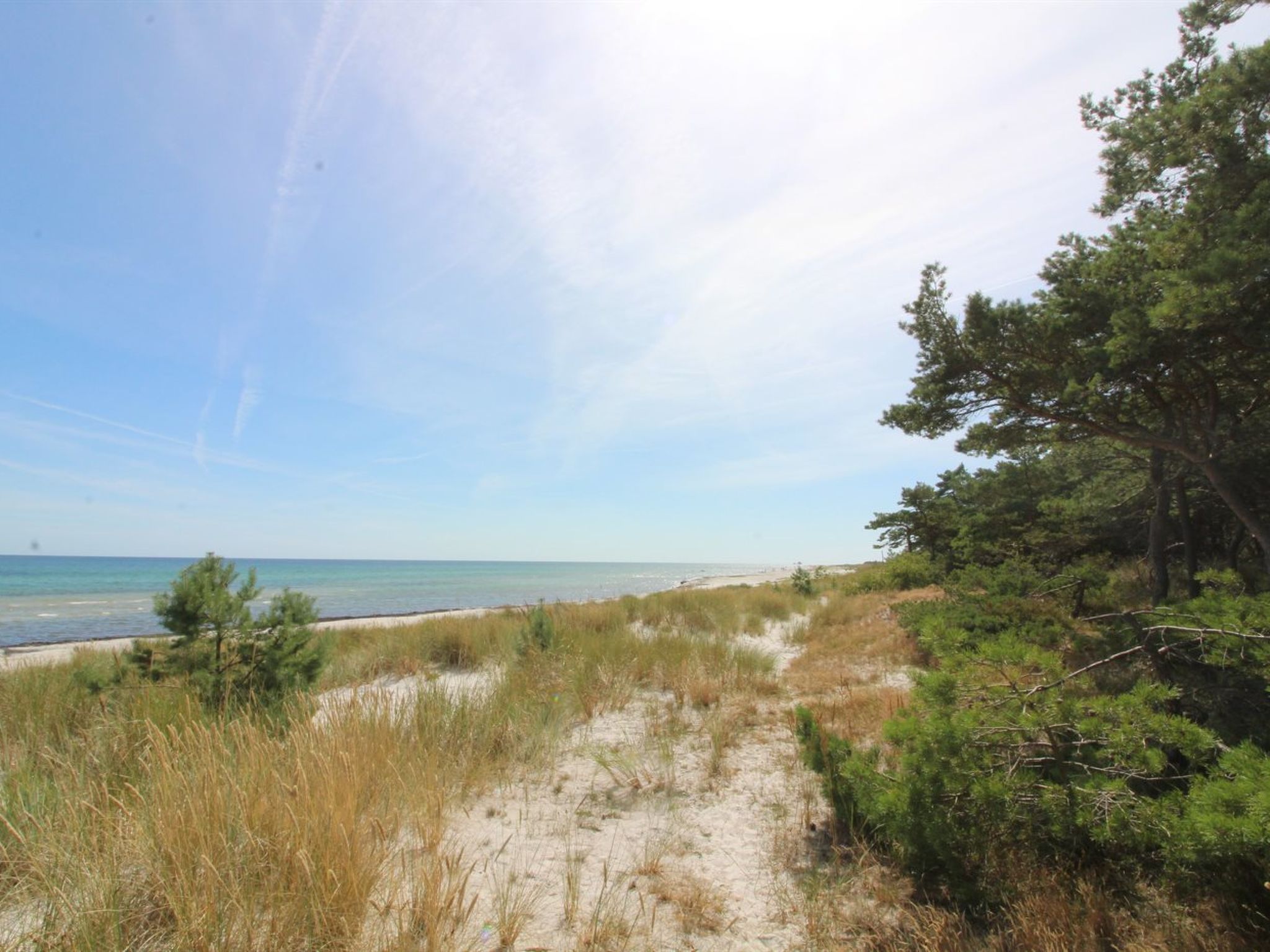 "Eftim" - 600m from the sea - Outside