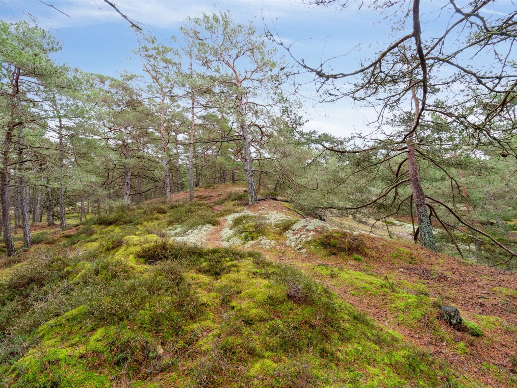 "Micaela" - 450m from the sea - Buiten