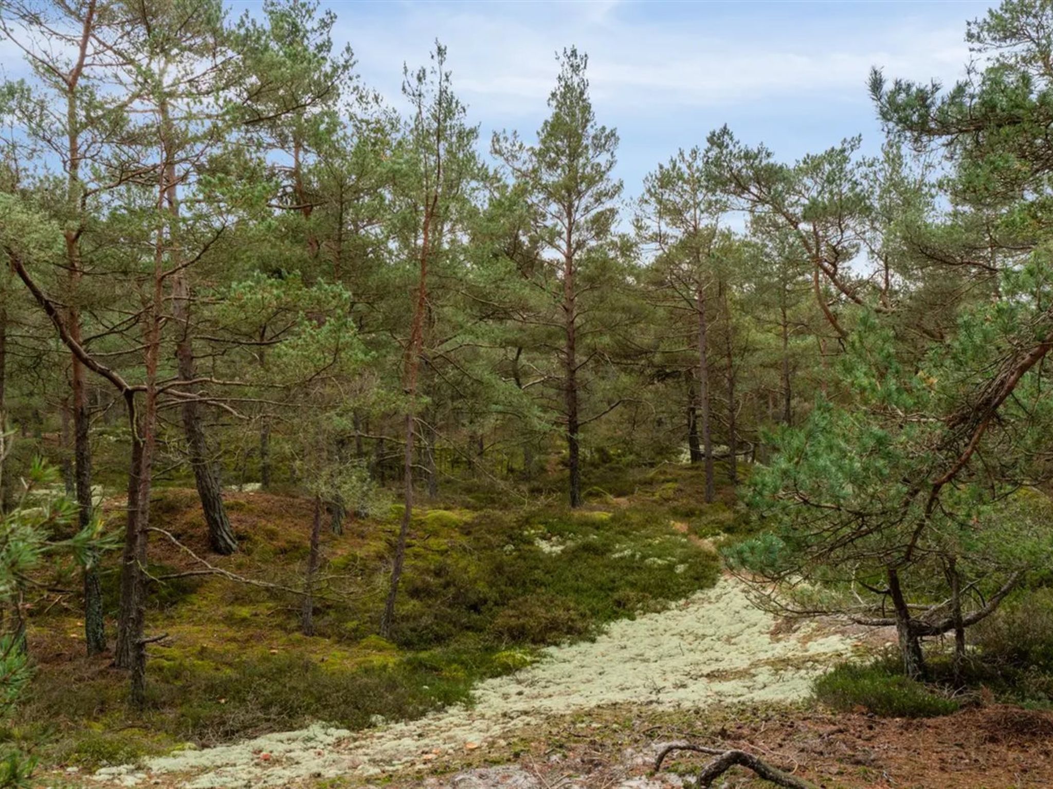 "Micaela" - 450m from the sea - Buiten
